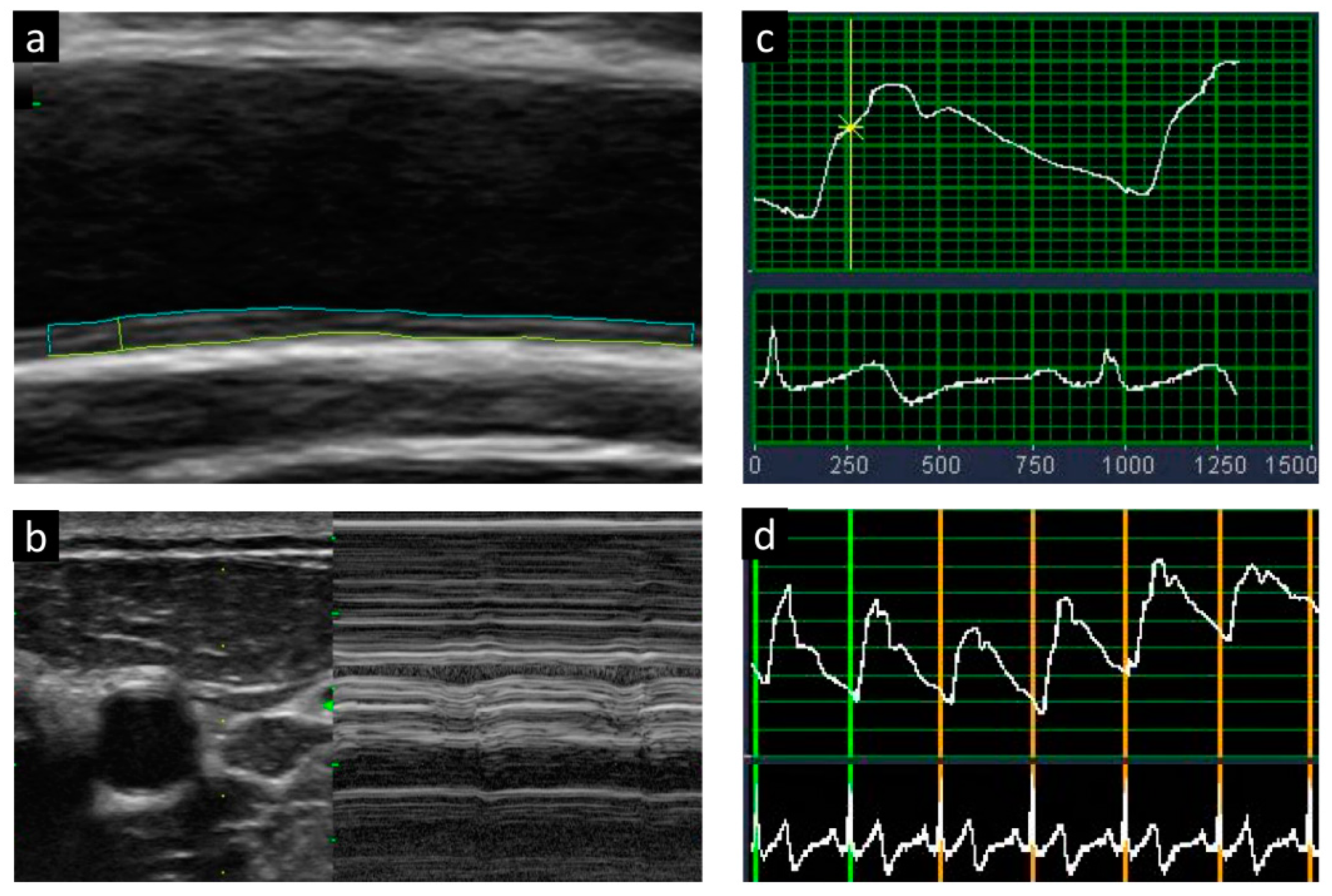 Biomedicines 09 01786 g001 Biomedicines 09 01786 g001