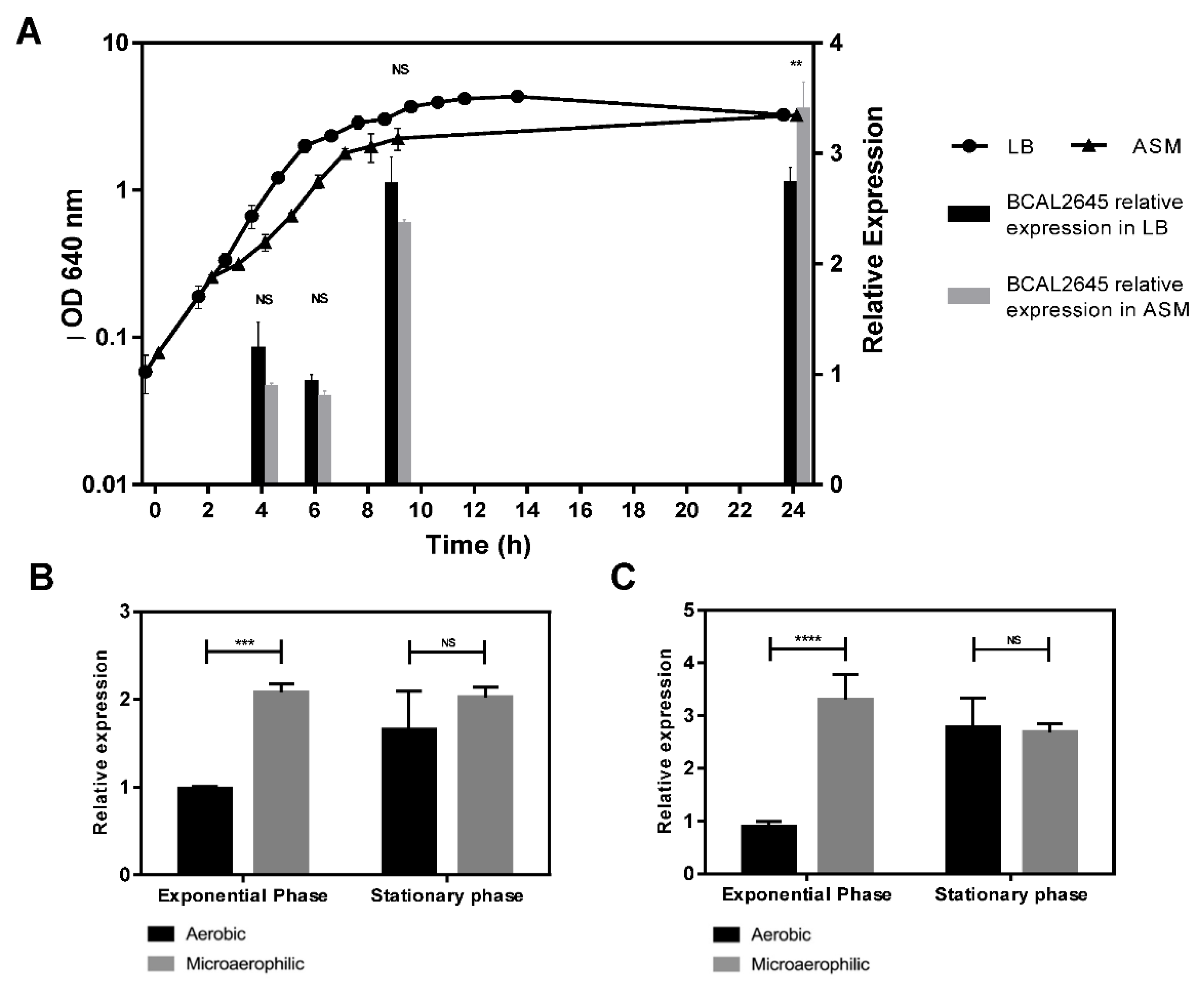 Biomedicines 09 01788 g002 Biomedicines 09 01788 g002