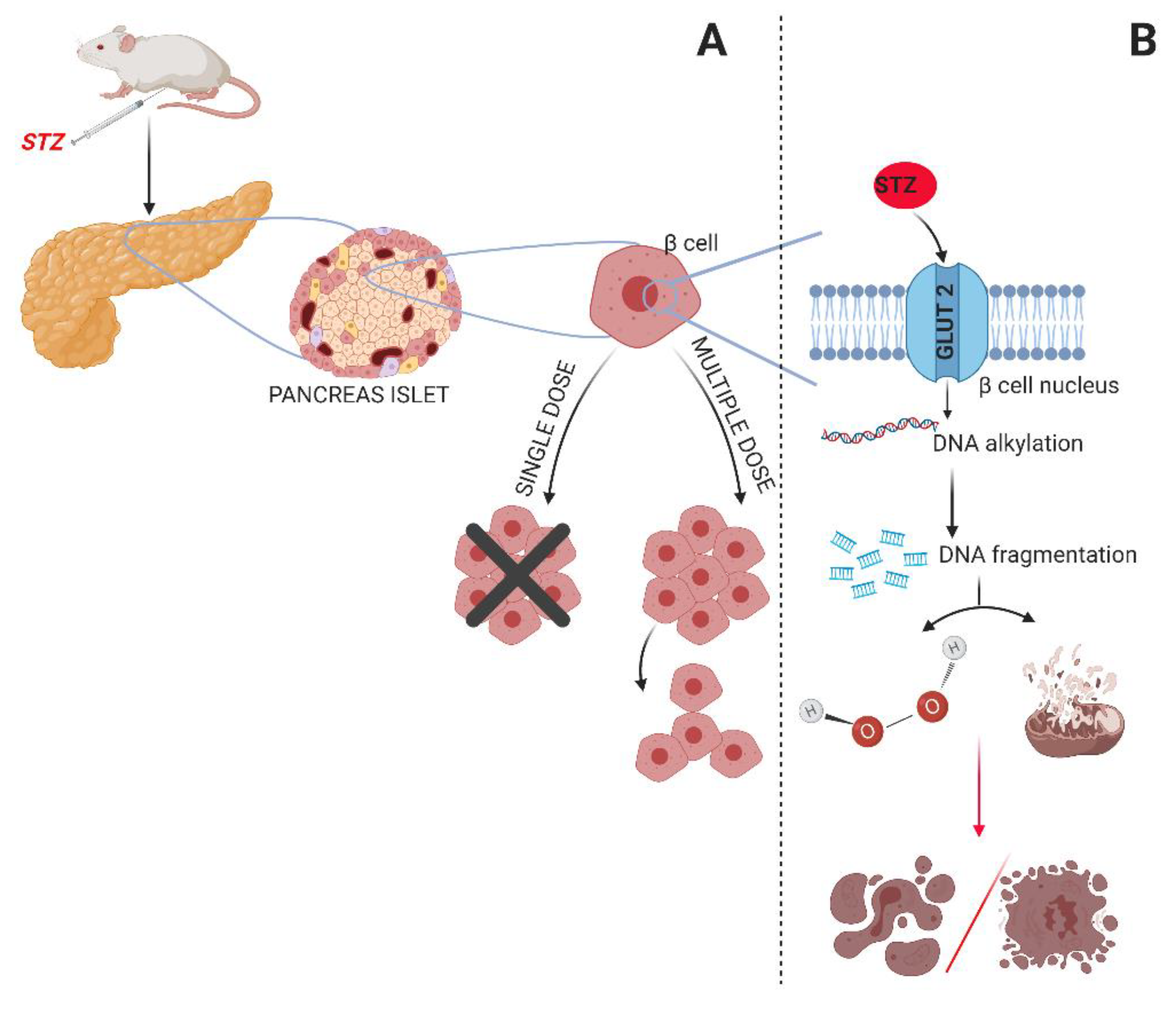 Biomedicines 09 01790 g002
