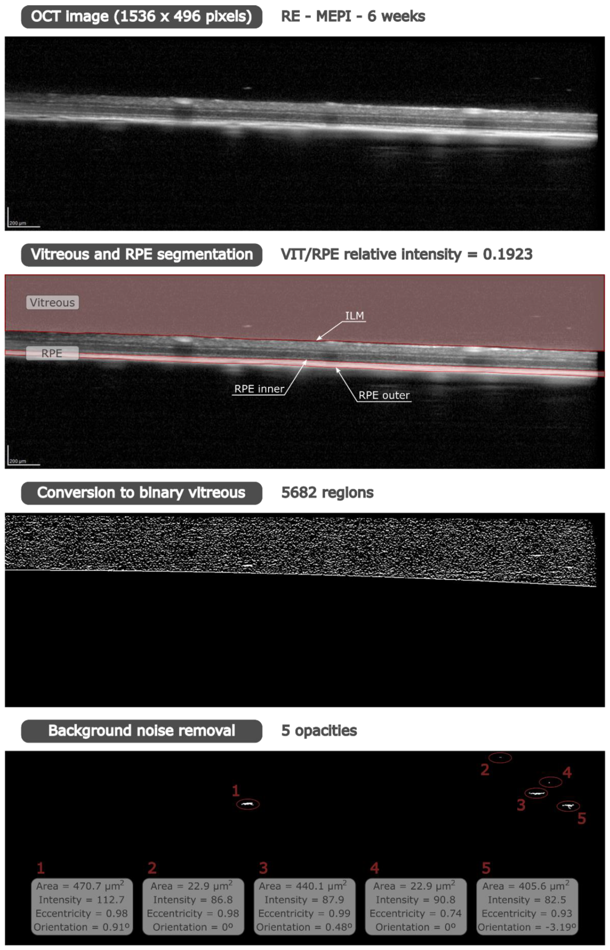 Biomedicines 09 01792 g001 550