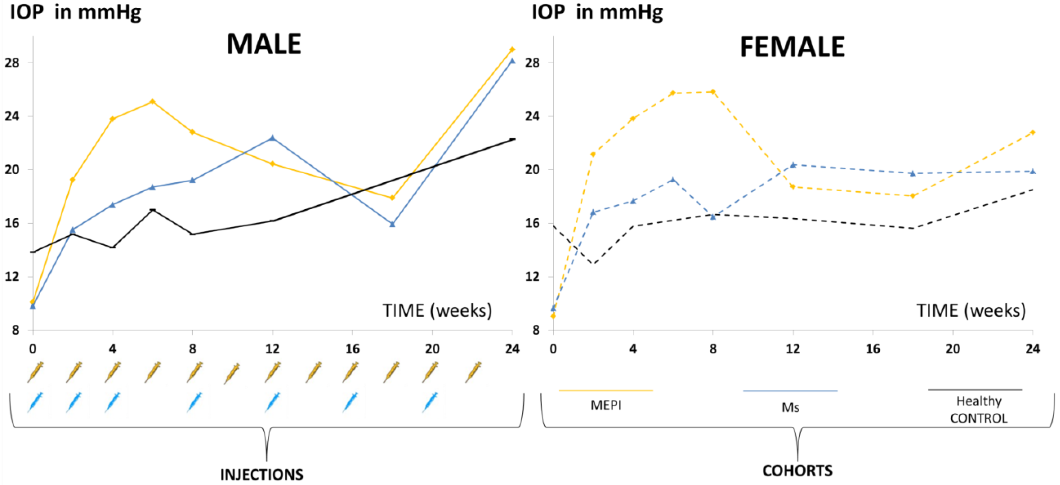 Biomedicines 09 01792 g002 550