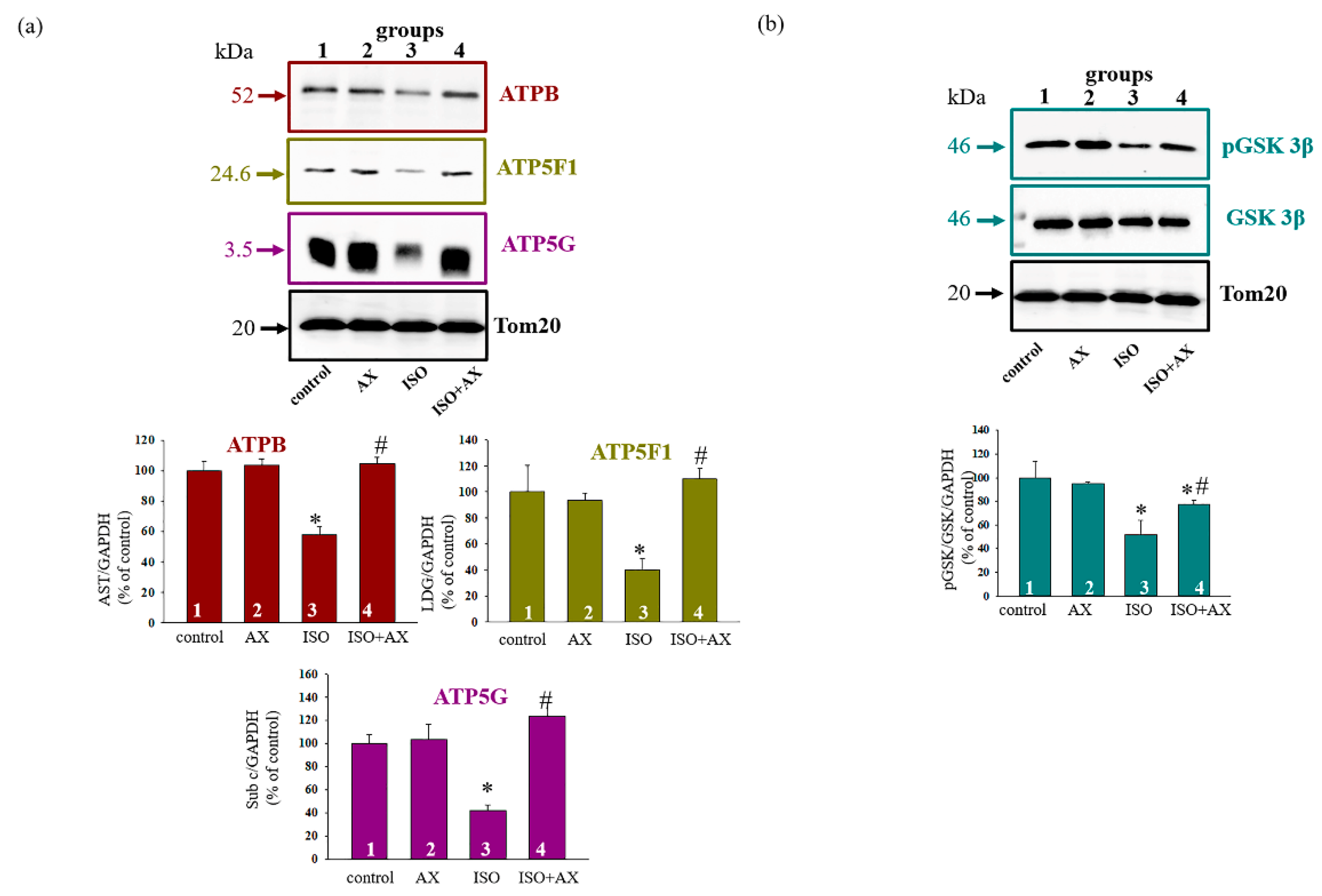Biomedicines 09 01793 g005 550