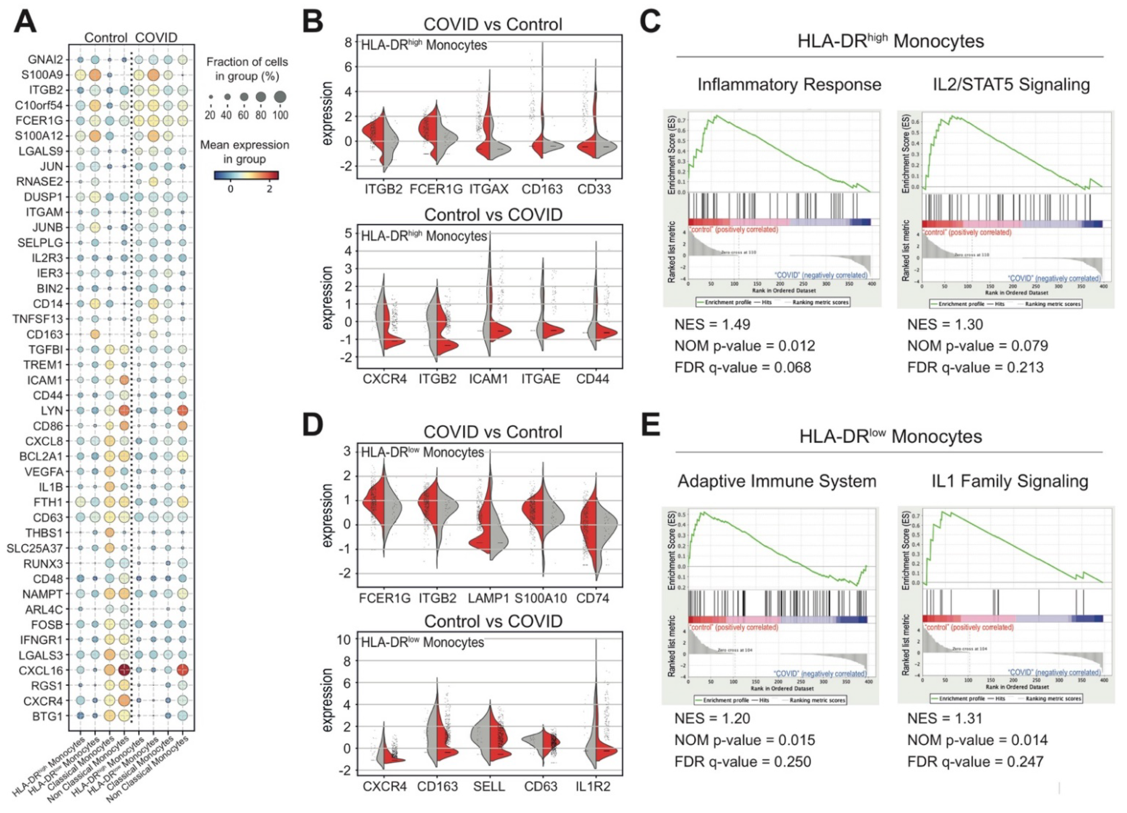 Biomedicines 09 01794 g005 550