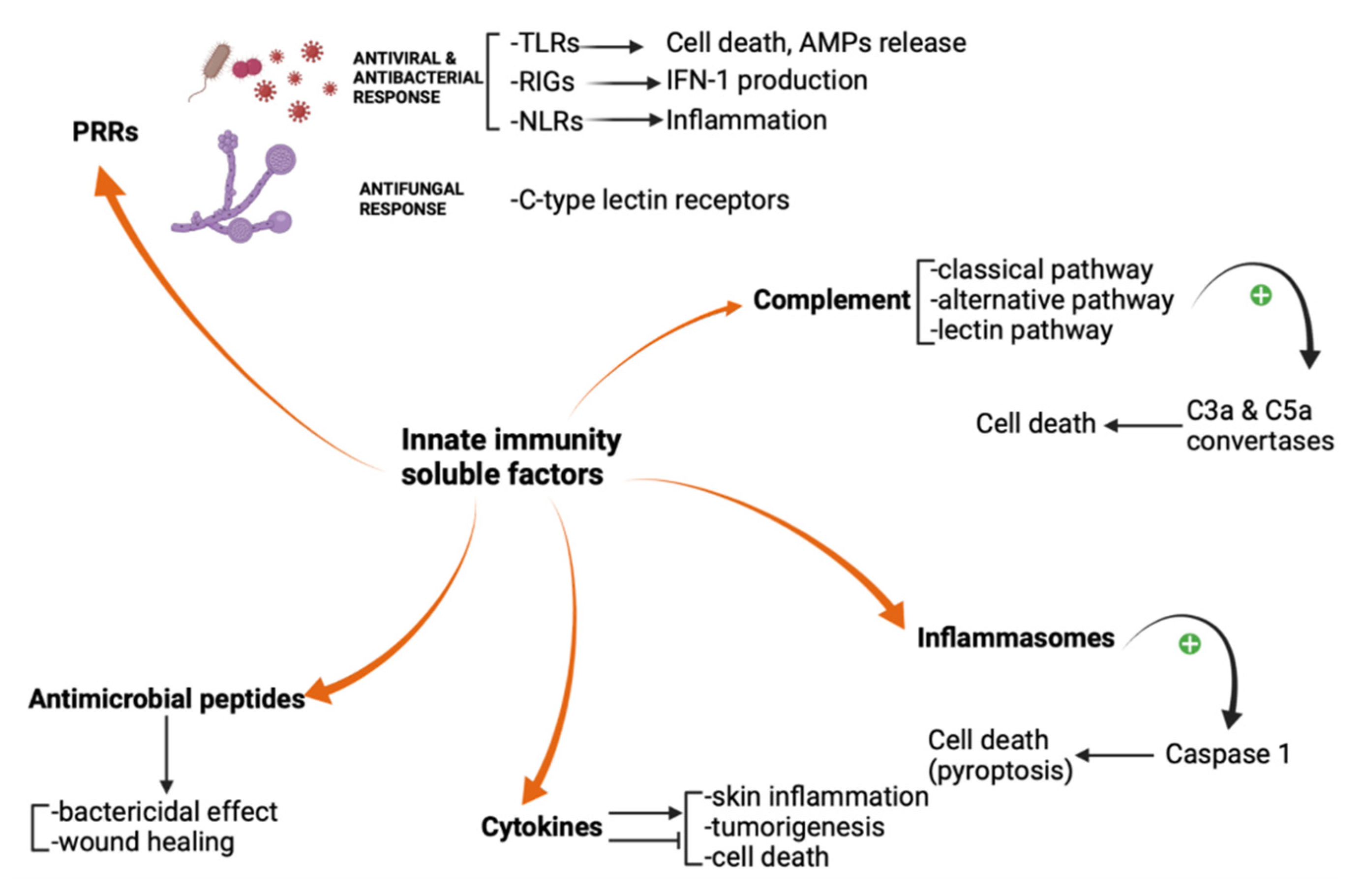 Biomedicines 09 01795 g001 Biomedicines 09 01795 g001