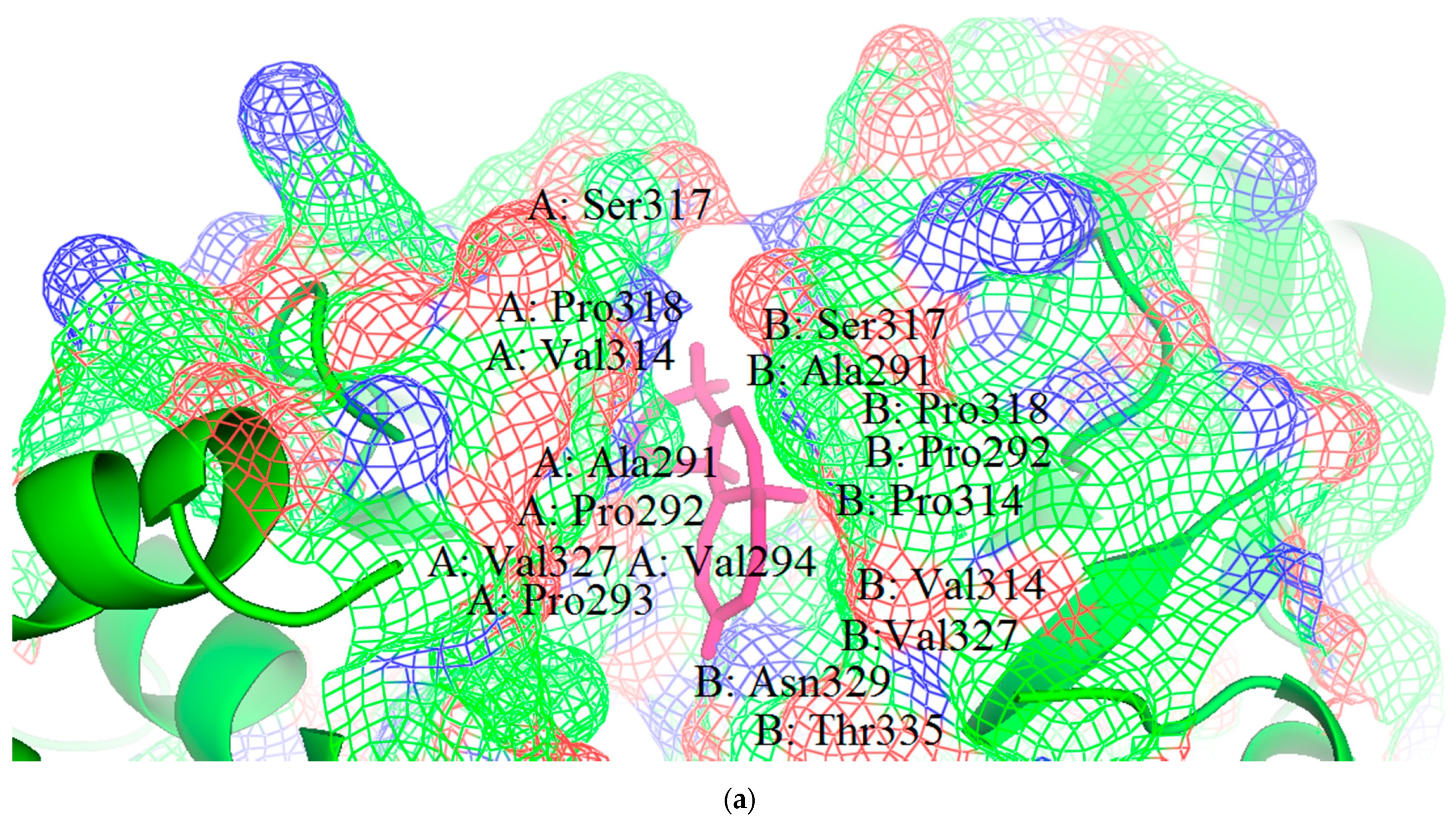 Biomedicines 09 01796 g004a Biomedicines 09 01796 g004a