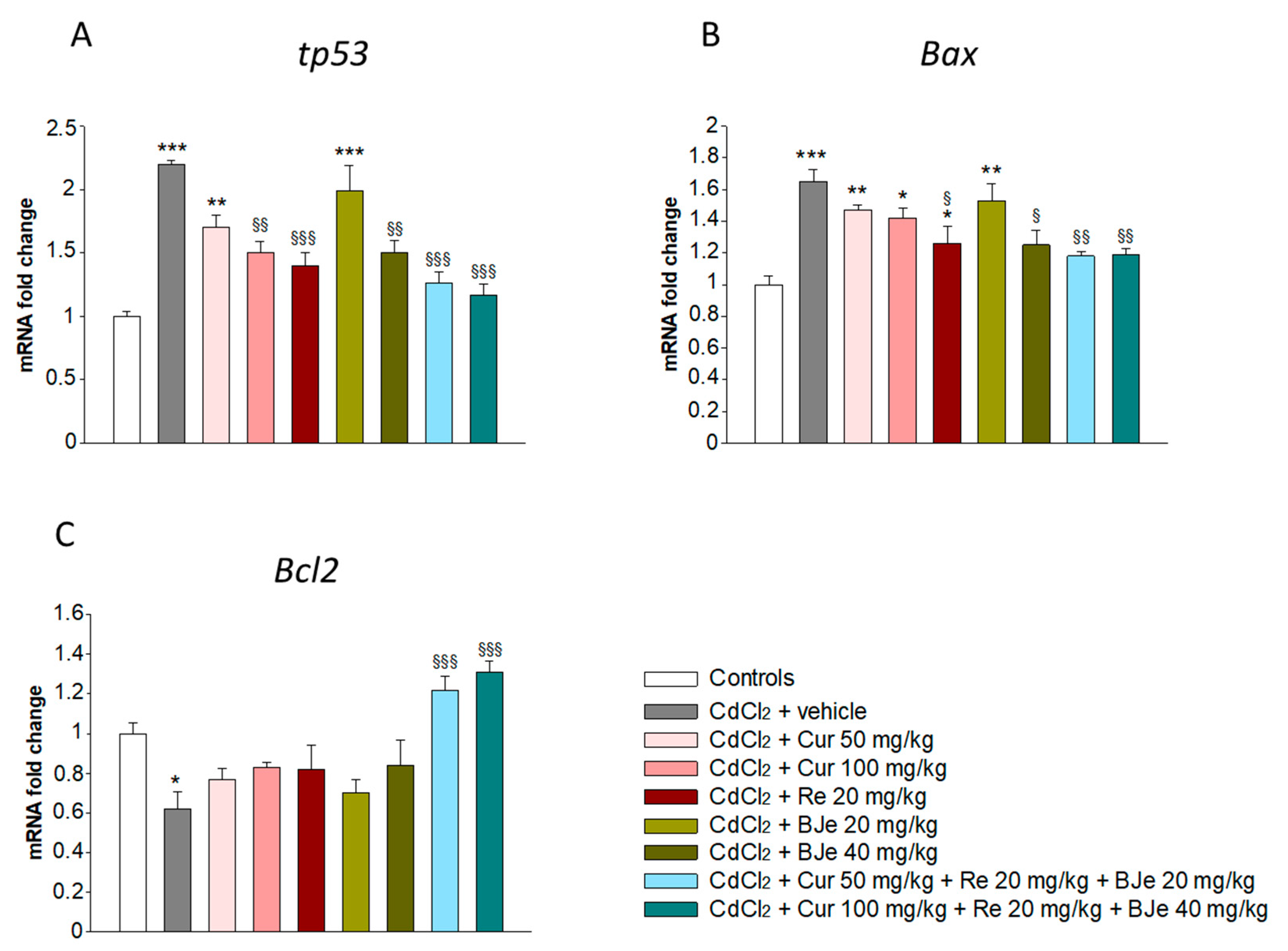 Biomedicines 09 01797 g002