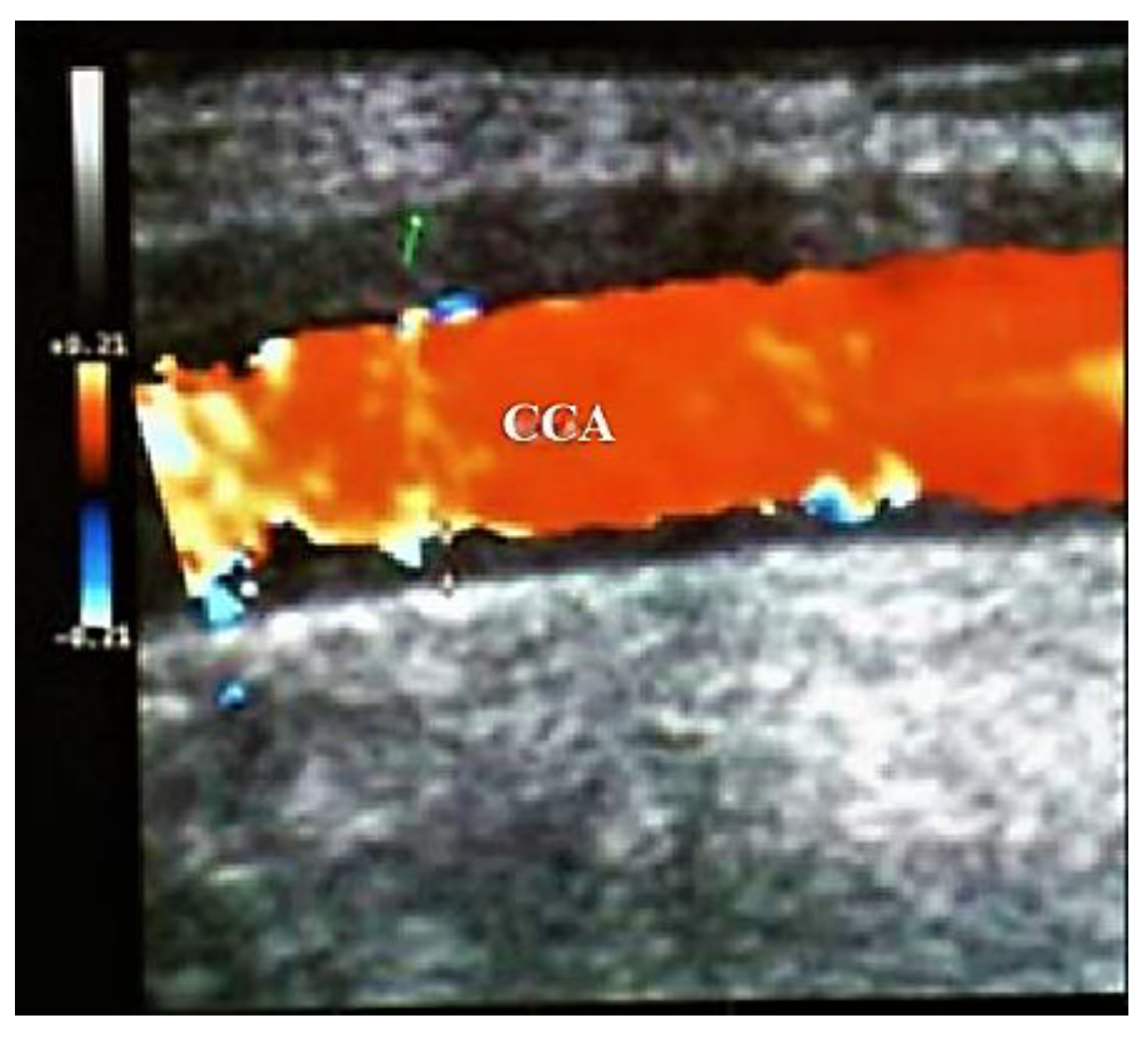 Biomedicines 09 01801 g005 Biomedicines 09 01801 g005