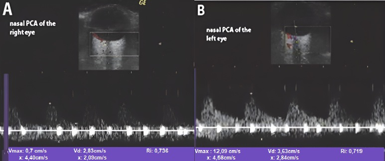 Biomedicines 09 01801 g007 Biomedicines 09 01801 g007