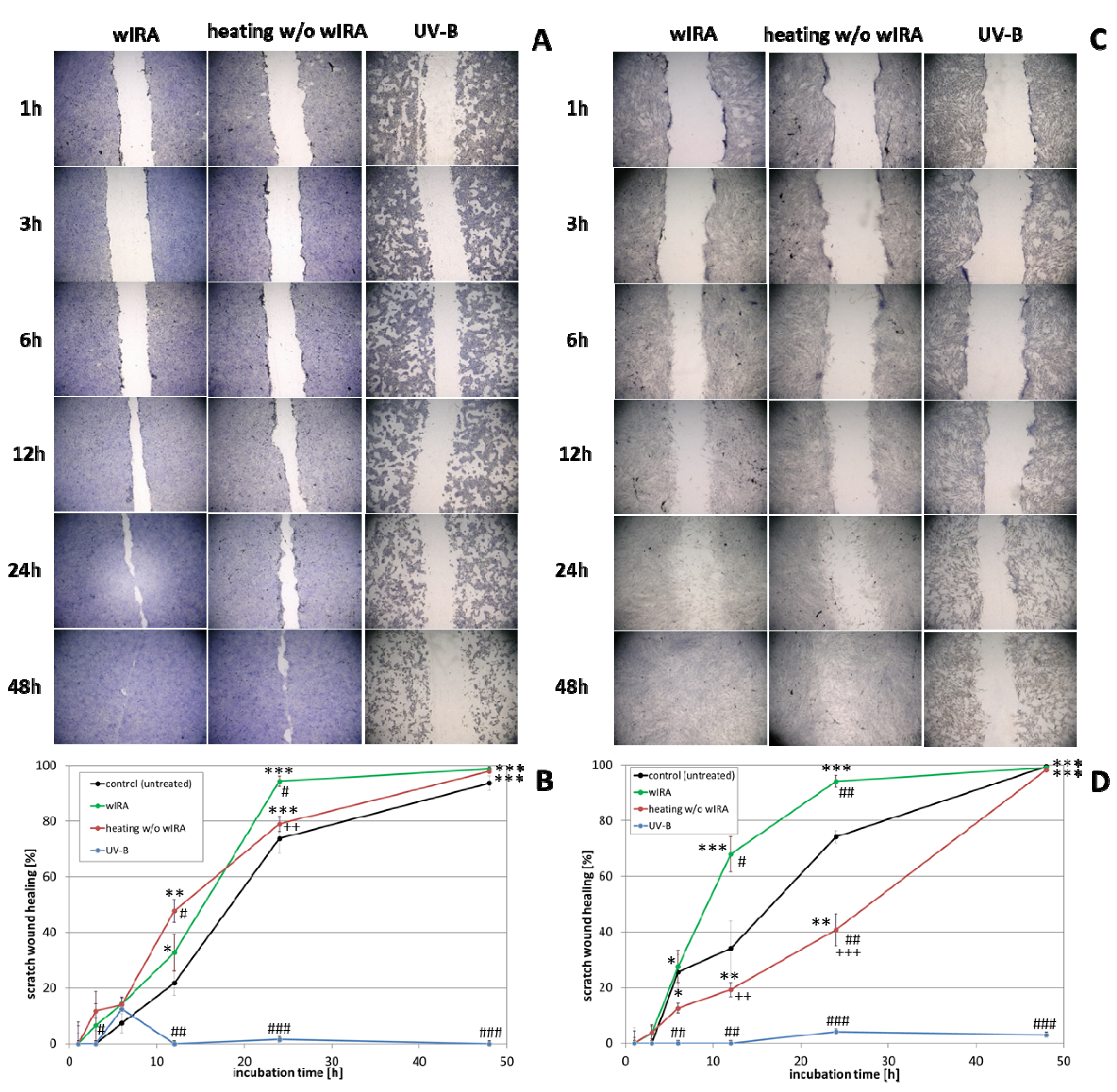 Biomedicines 09 01802 g003