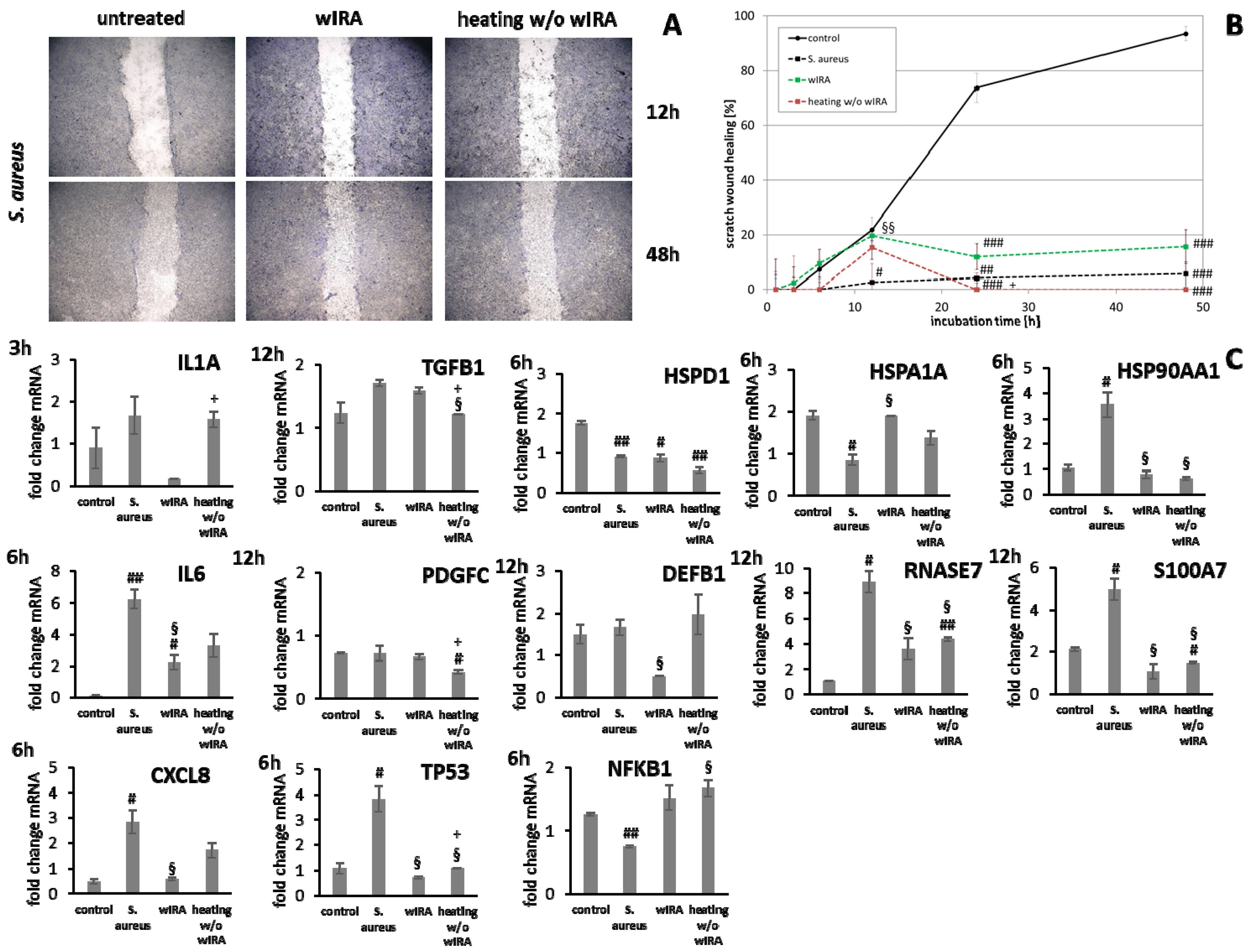 Biomedicines 09 01802 g009