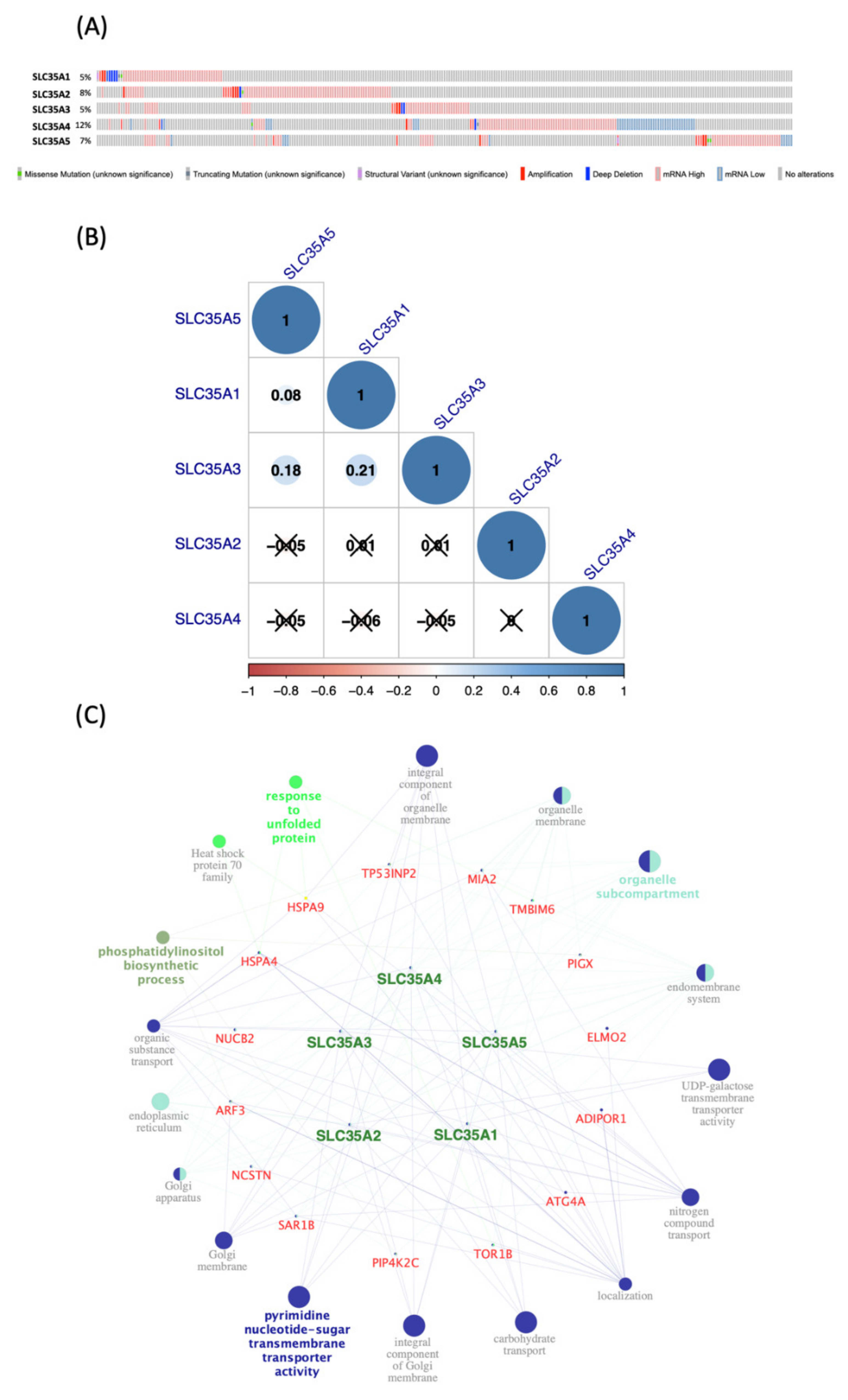 Biomedicines 09 01804 g005 Biomedicines 09 01804 g005