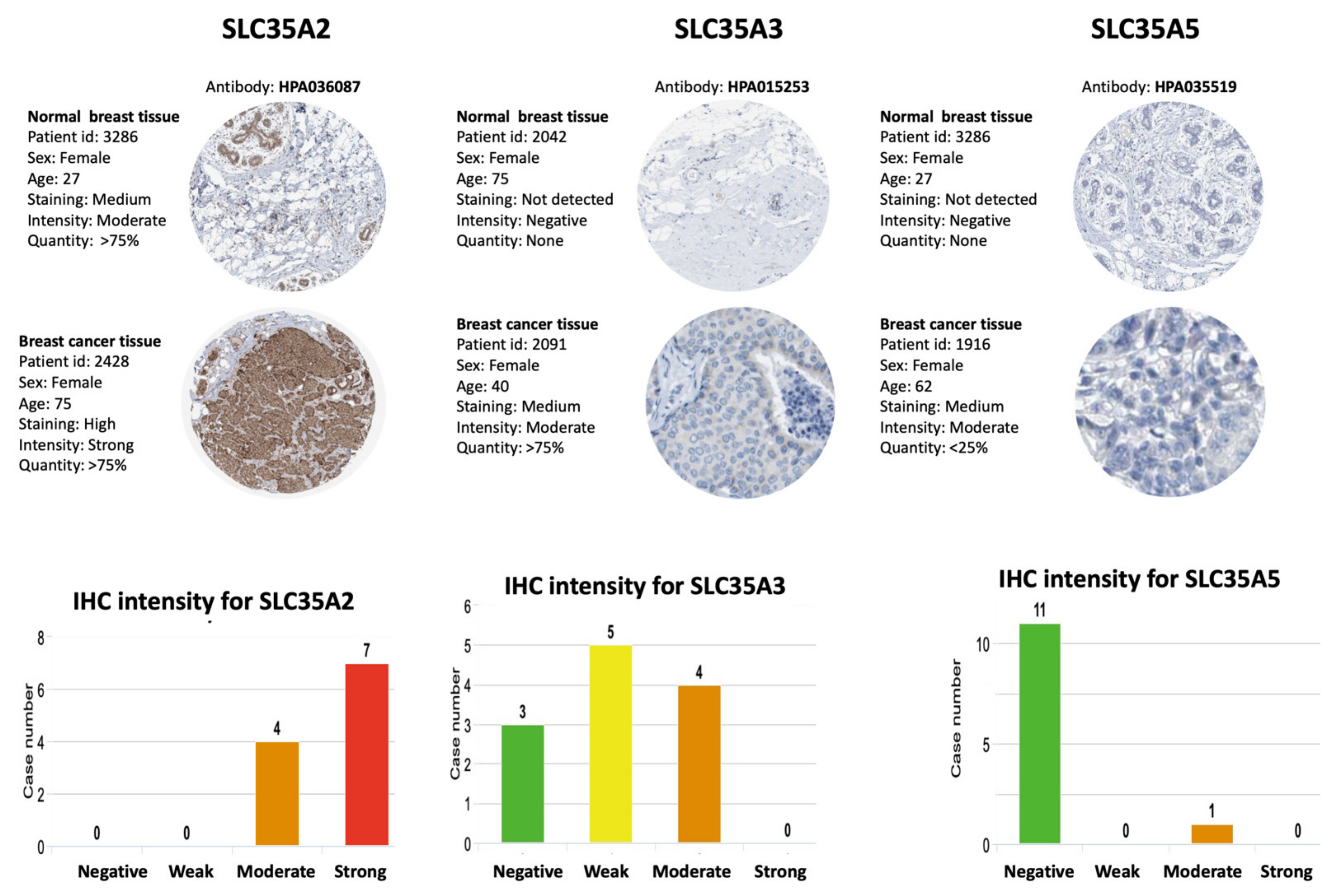 Biomedicines 09 01804 g007 Biomedicines 09 01804 g007
