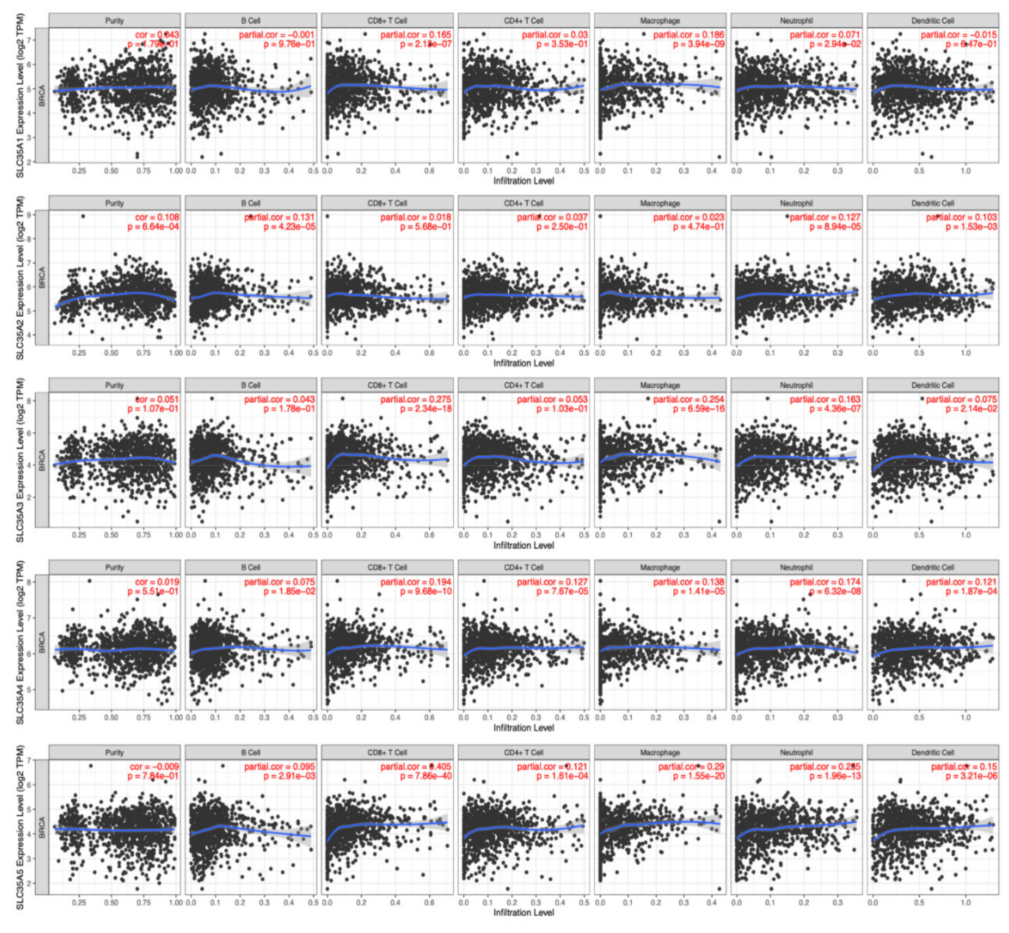 Biomedicines 09 01804 g008 Biomedicines 09 01804 g008