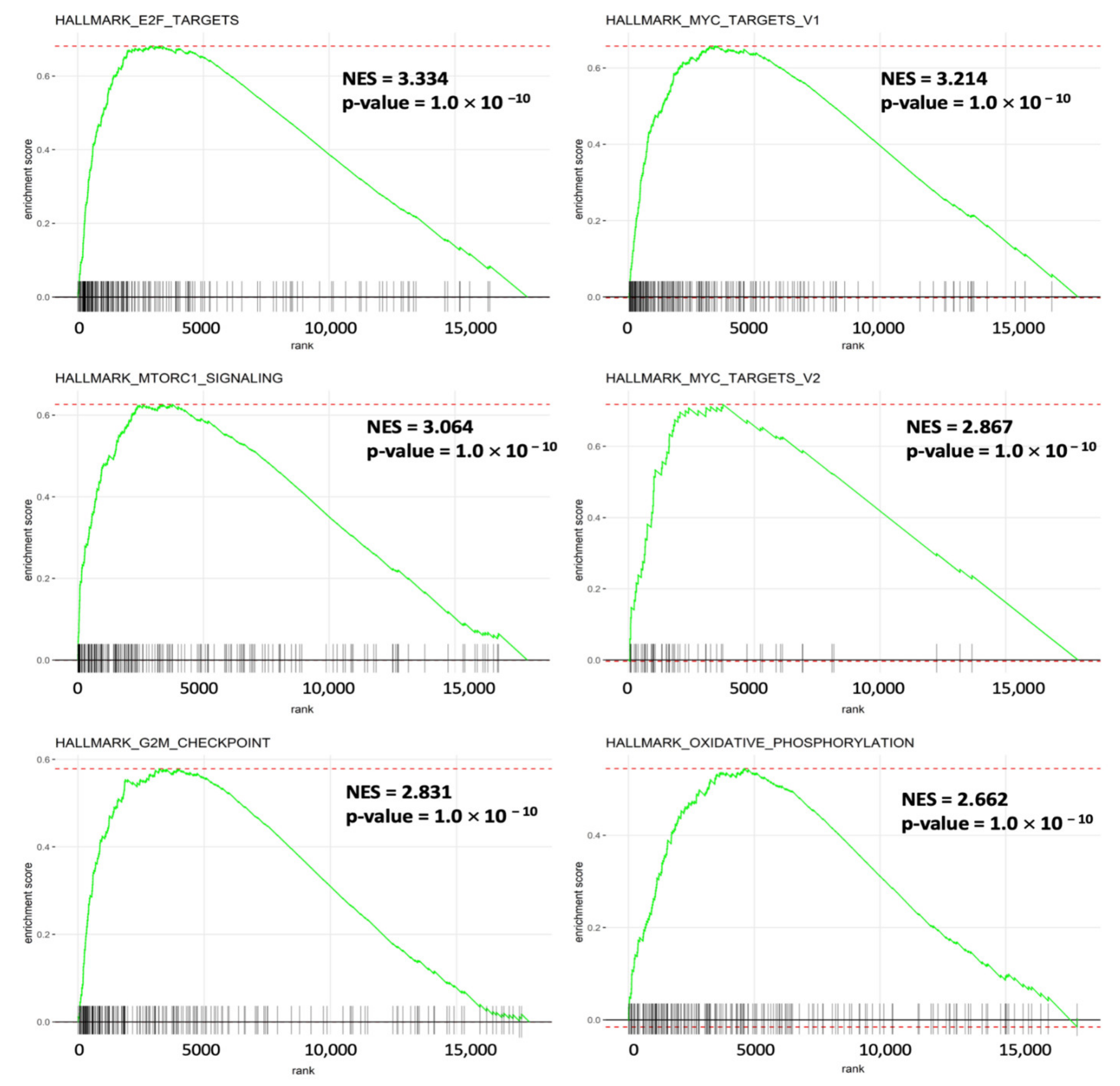 Biomedicines 09 01804 g011 Biomedicines 09 01804 g011