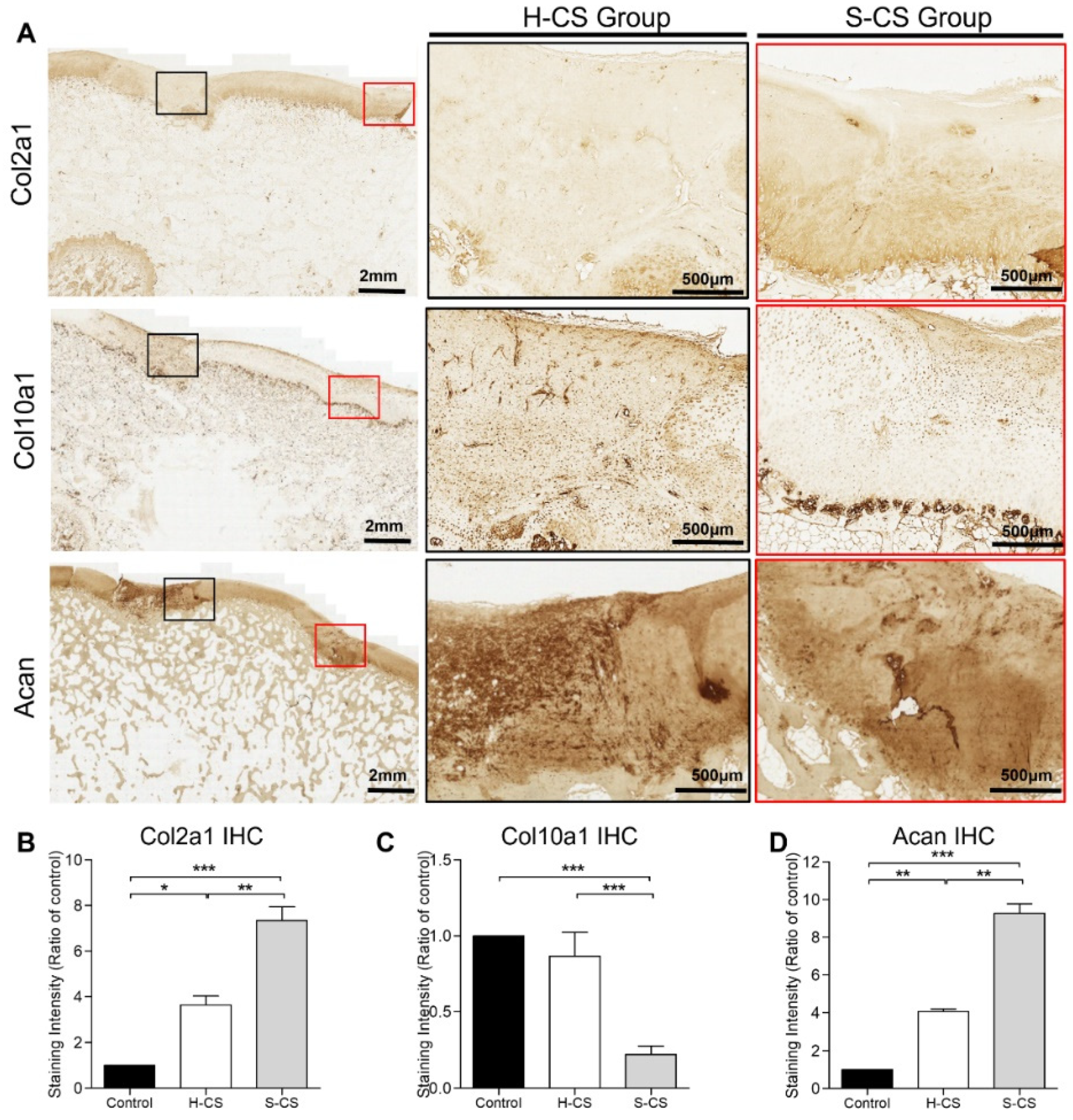 Biomedicines 09 01806 g007
