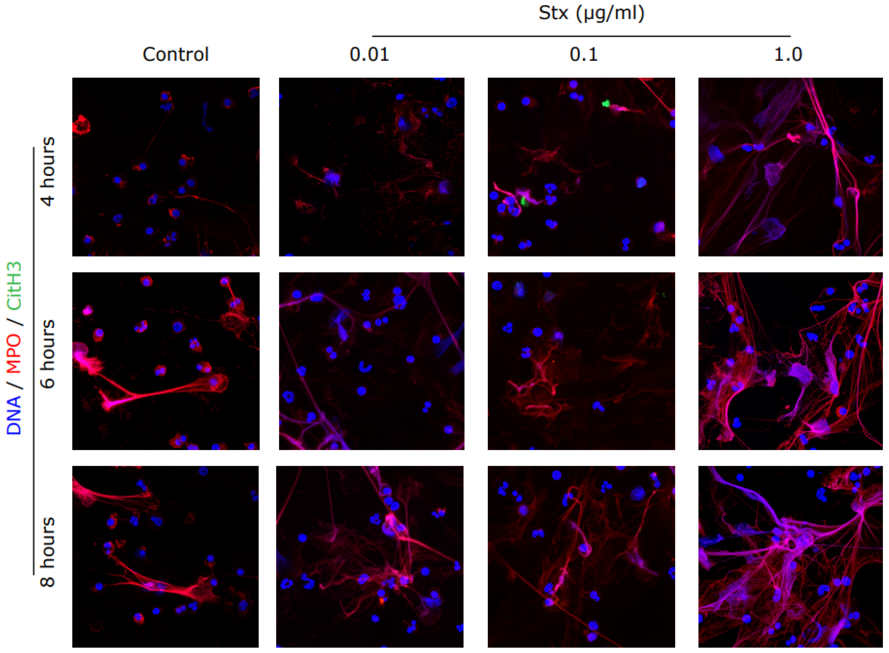 Biomedicines 09 01807 g003 Biomedicines 09 01807 g003