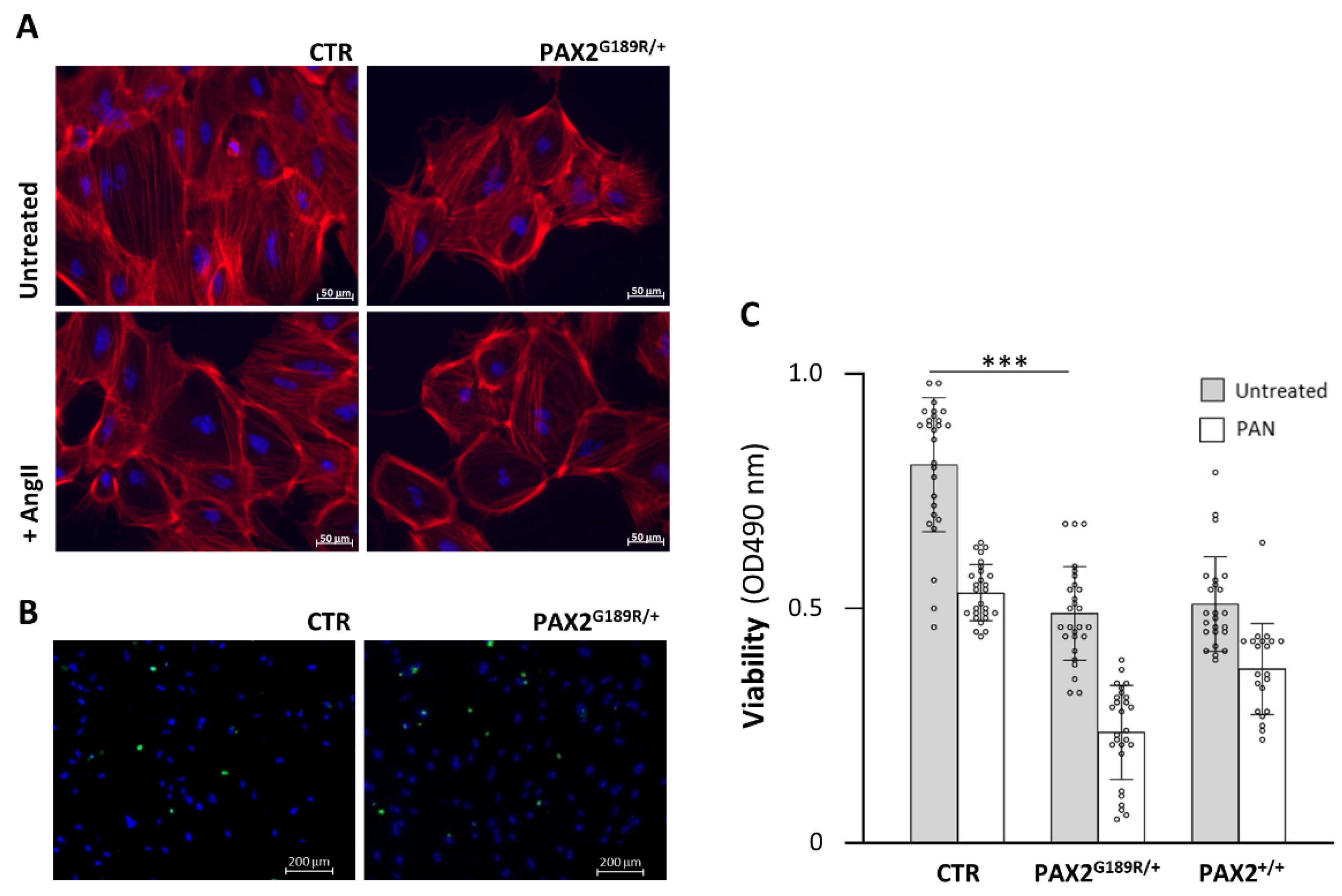 Biomedicines 09 01808 g003 550