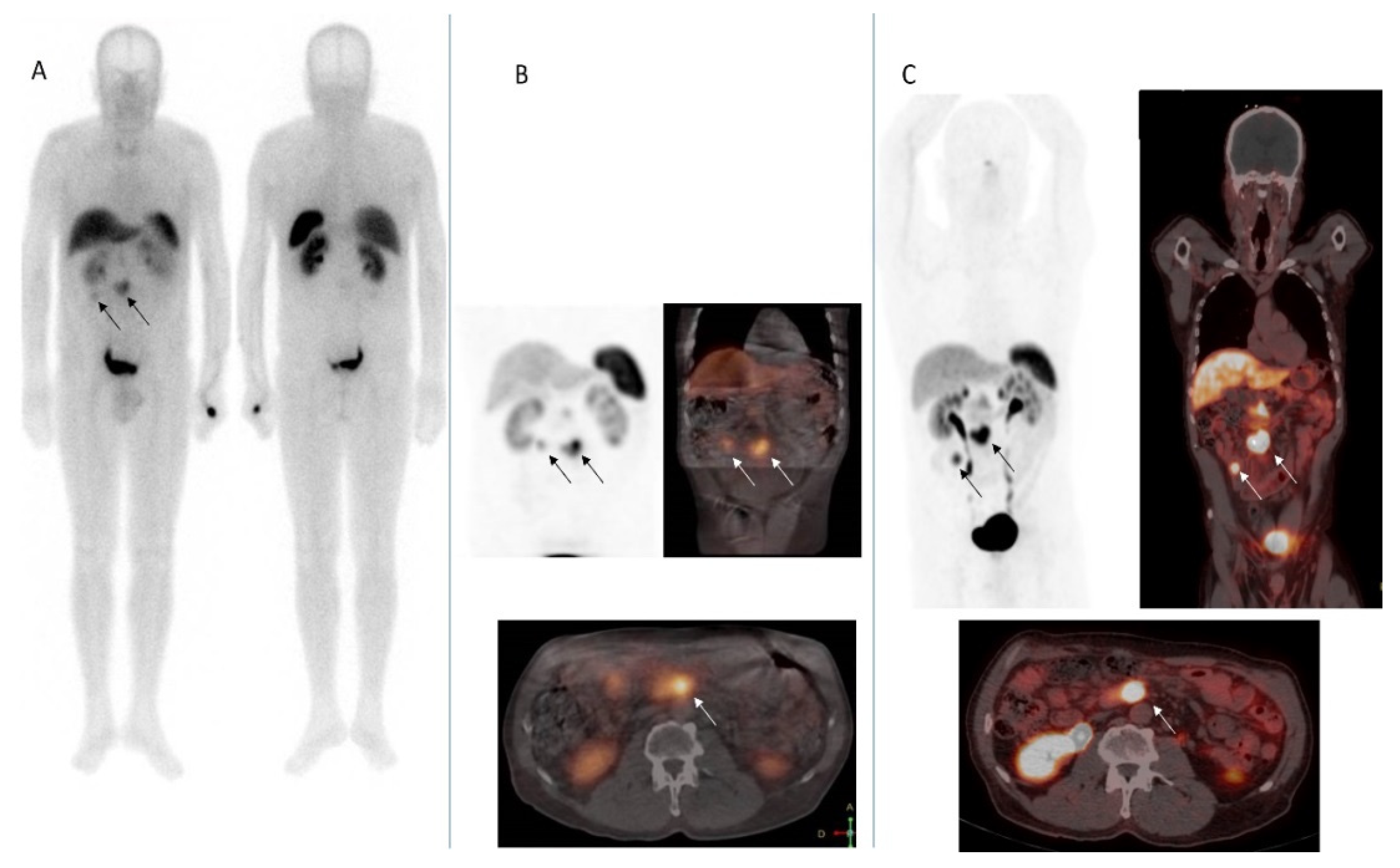 Biomedicines 09 01810 g003