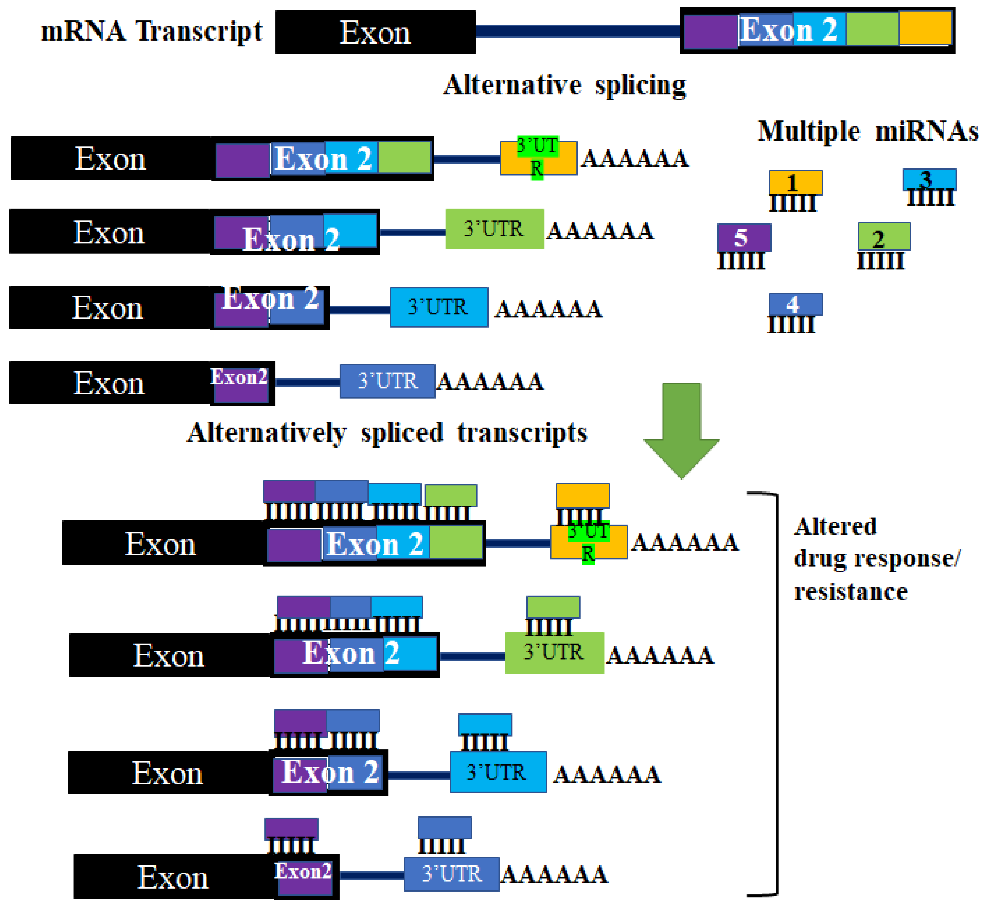 Biomedicines 09 01818 g002 550