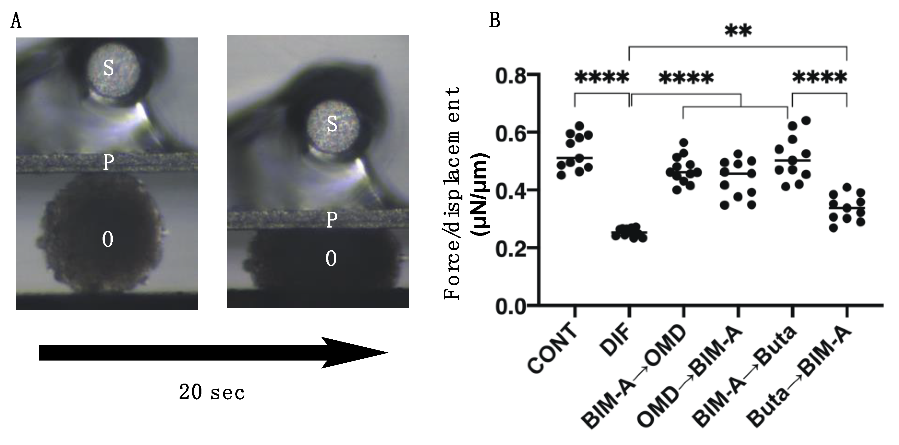 Biomedicines 09 01821 g005 Biomedicines 09 01821 g005