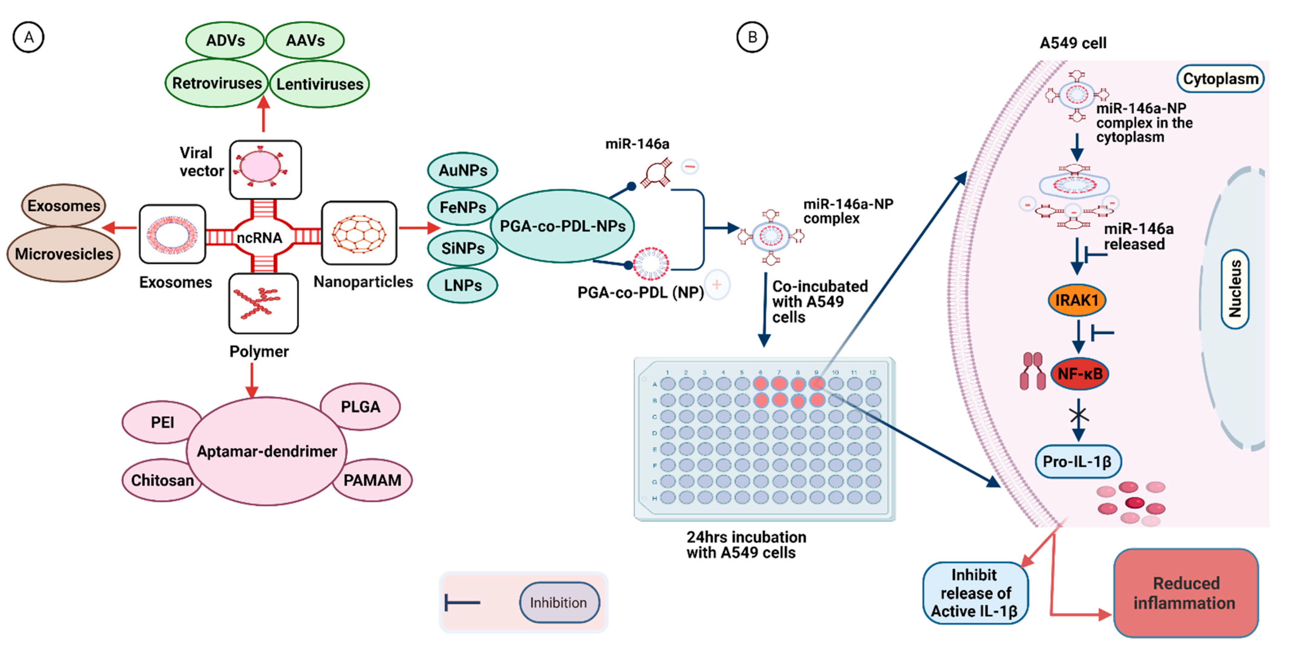 Biomedicines 09 01823 g003
