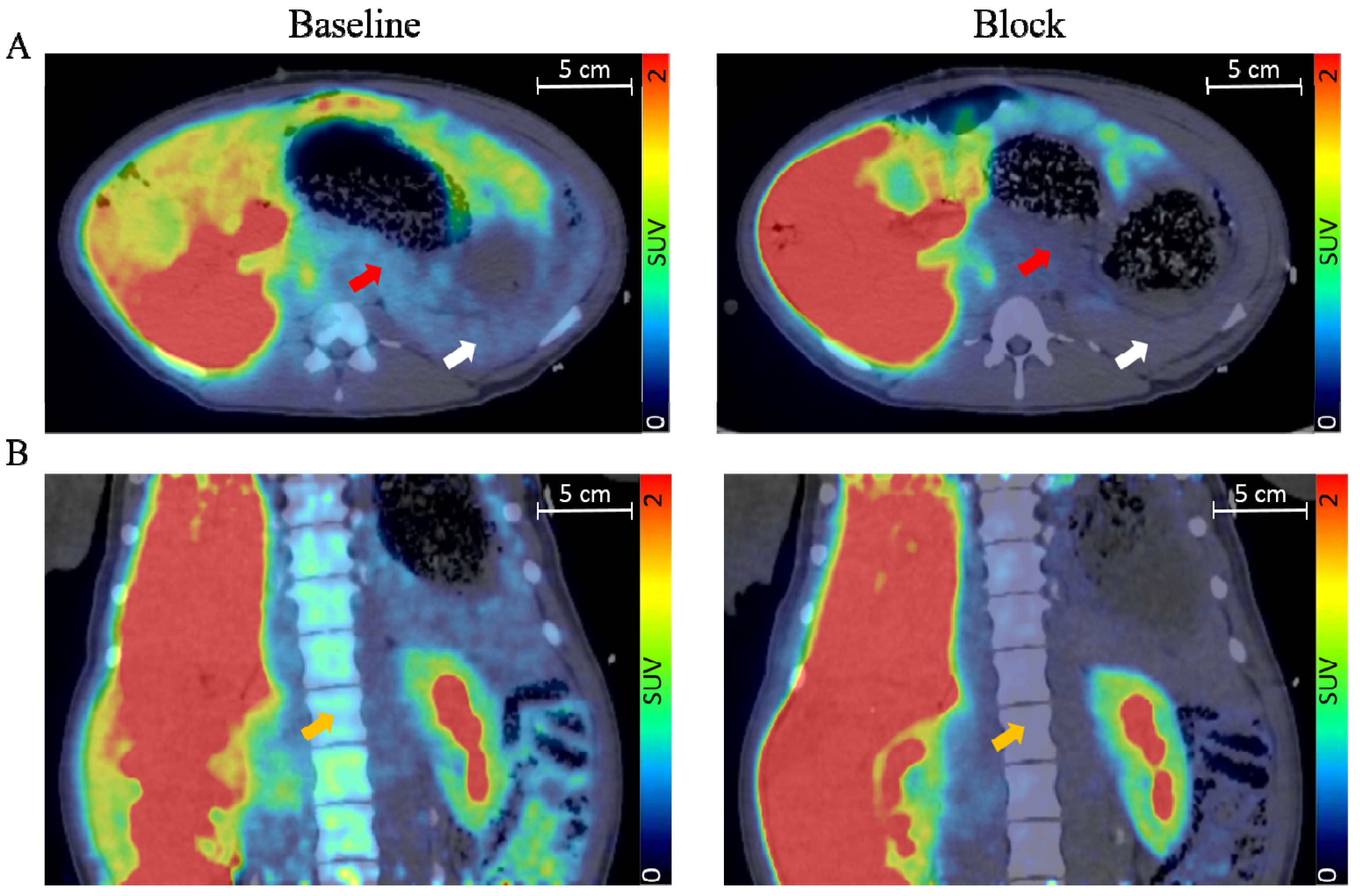 Biomedicines 09 01824 g002 Biomedicines 09 01824 g002