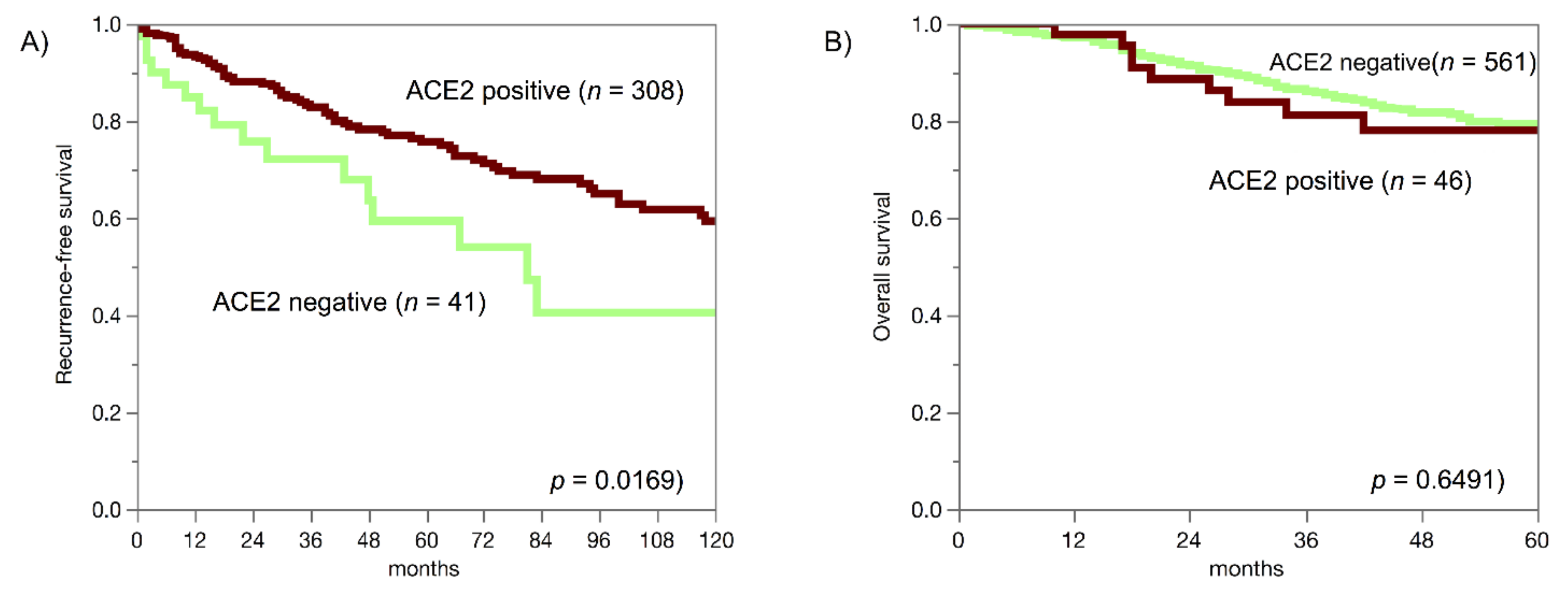 Biomedicines 09 01831 g004 550