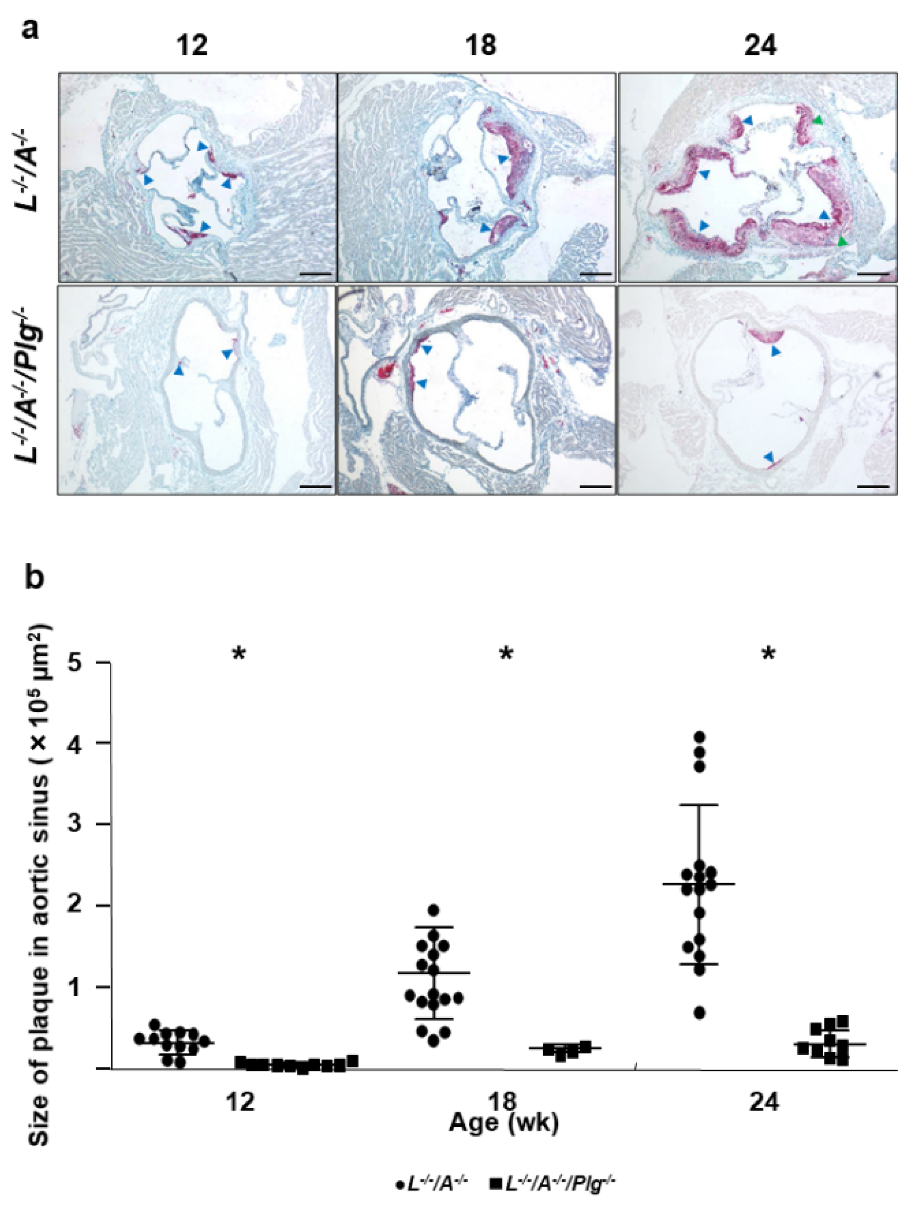 Biomedicines 09 01832 g002 Biomedicines 09 01832 g002