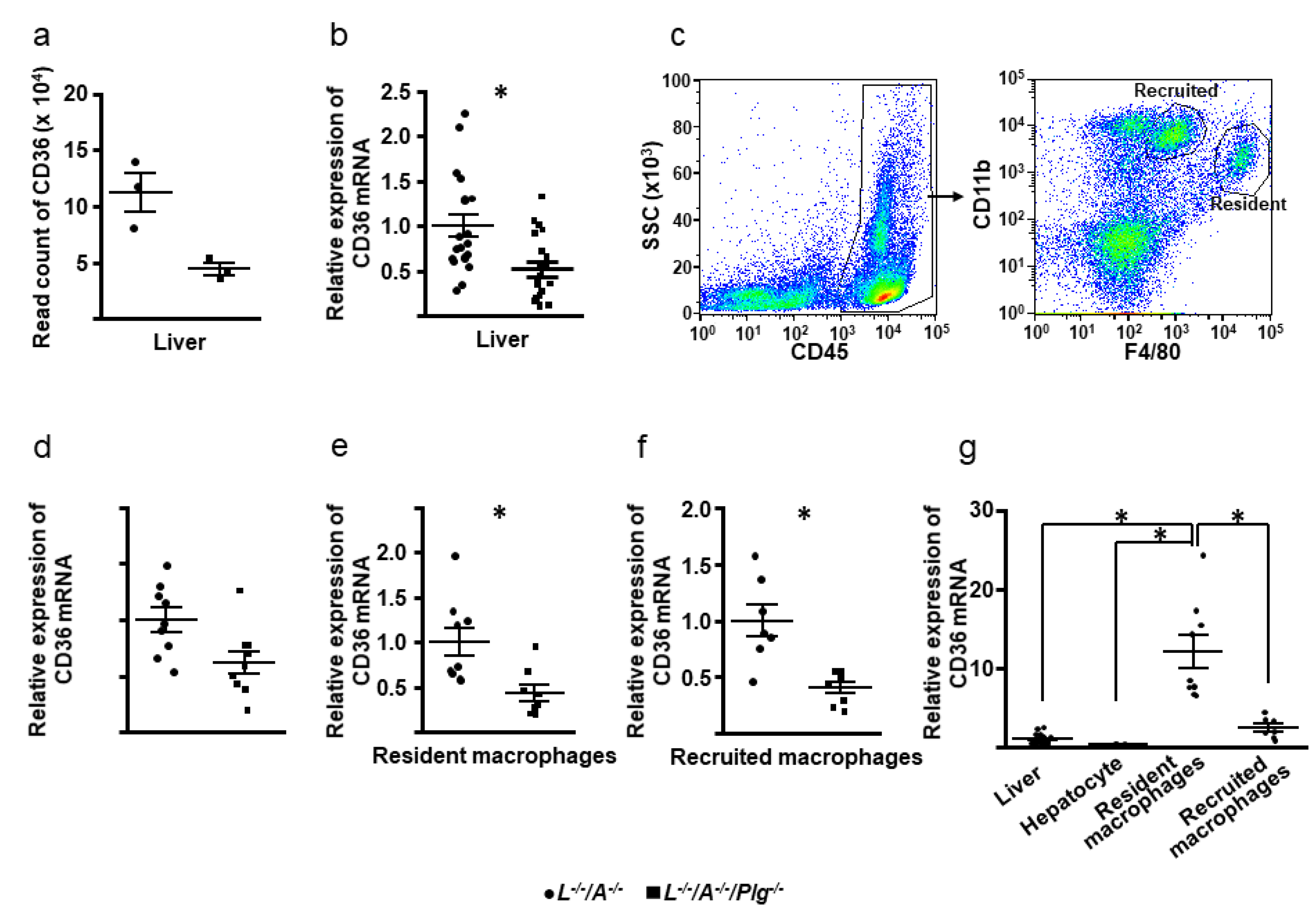 Biomedicines 09 01832 g006 Biomedicines 09 01832 g006