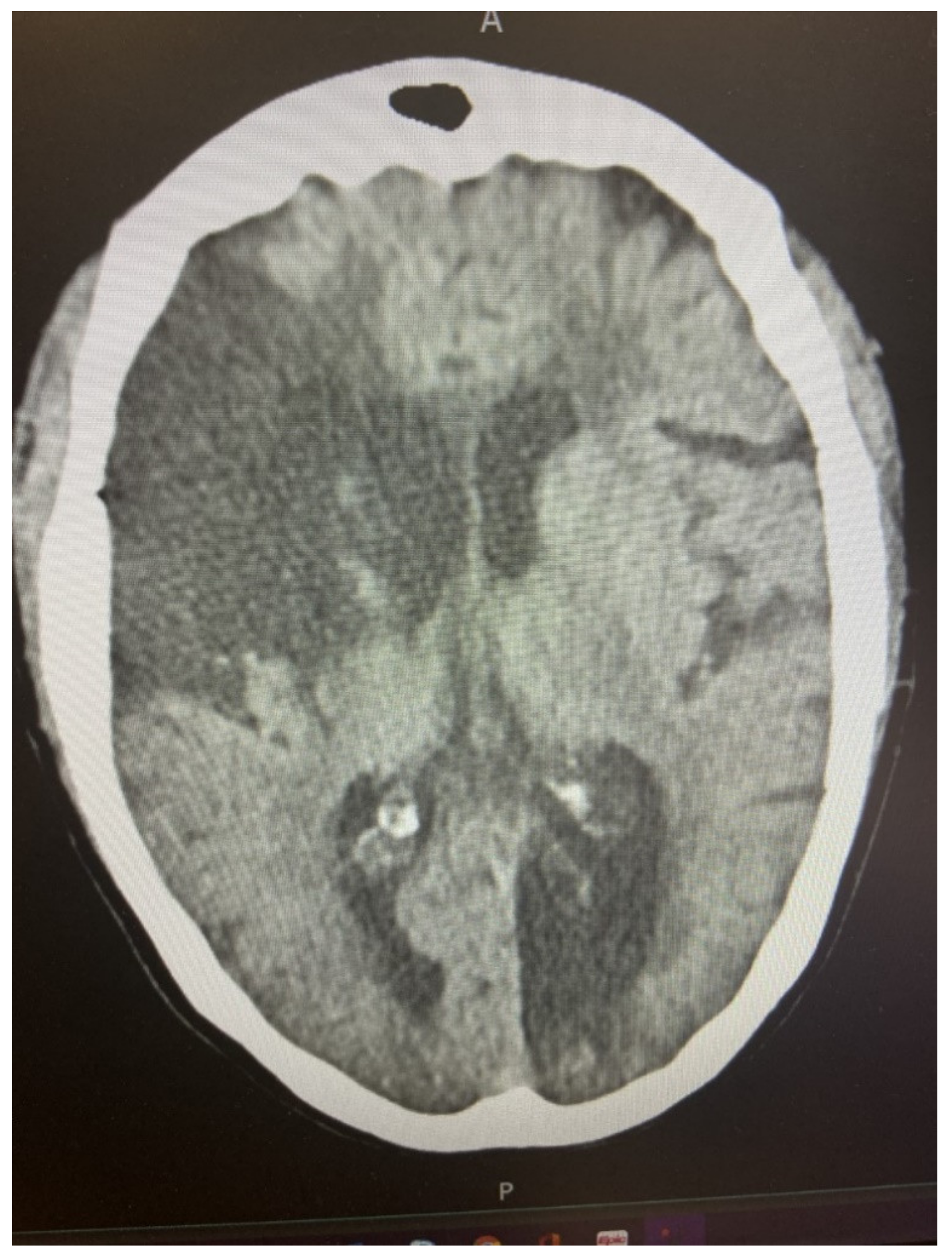 Biomedicines 09 01835 g001 550