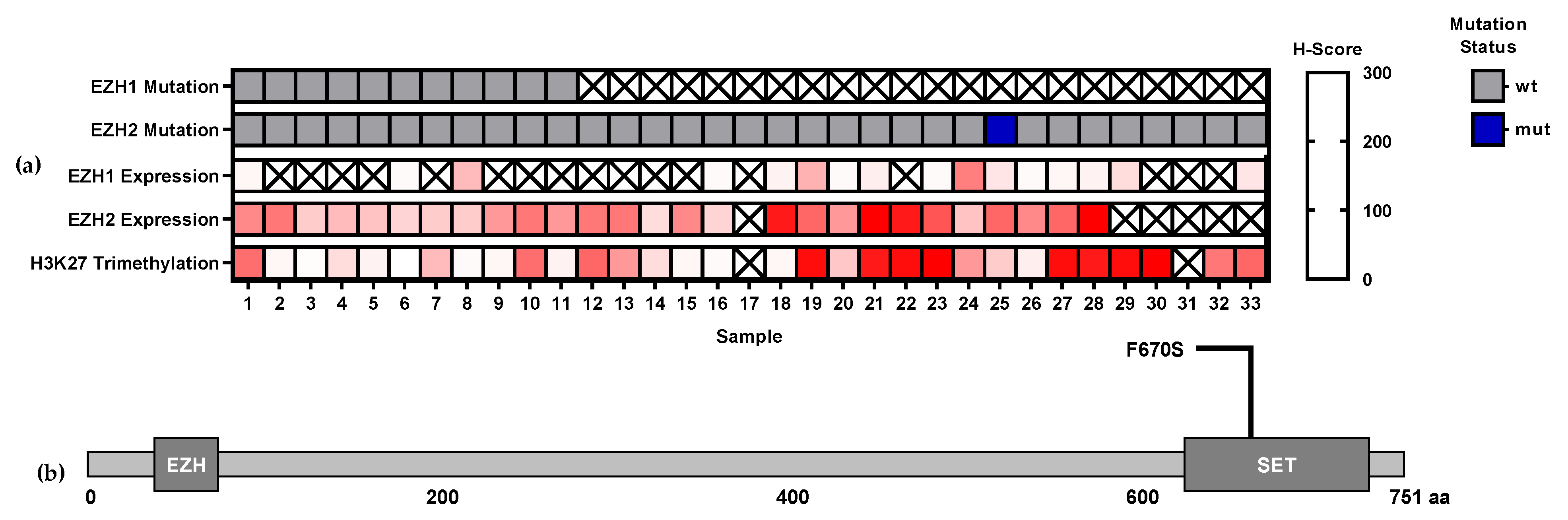 Biomedicines 09 01842 g001