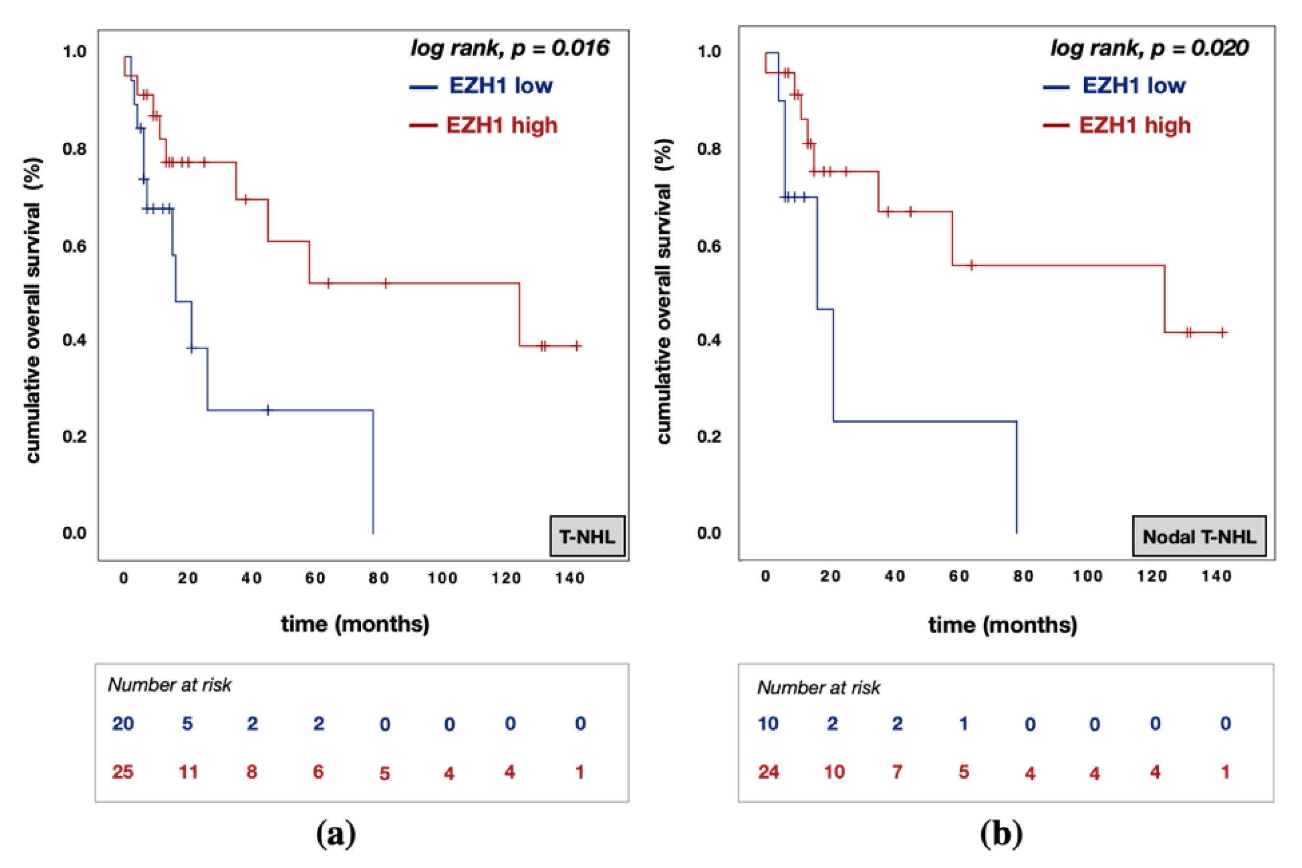 Biomedicines 09 01842 g006