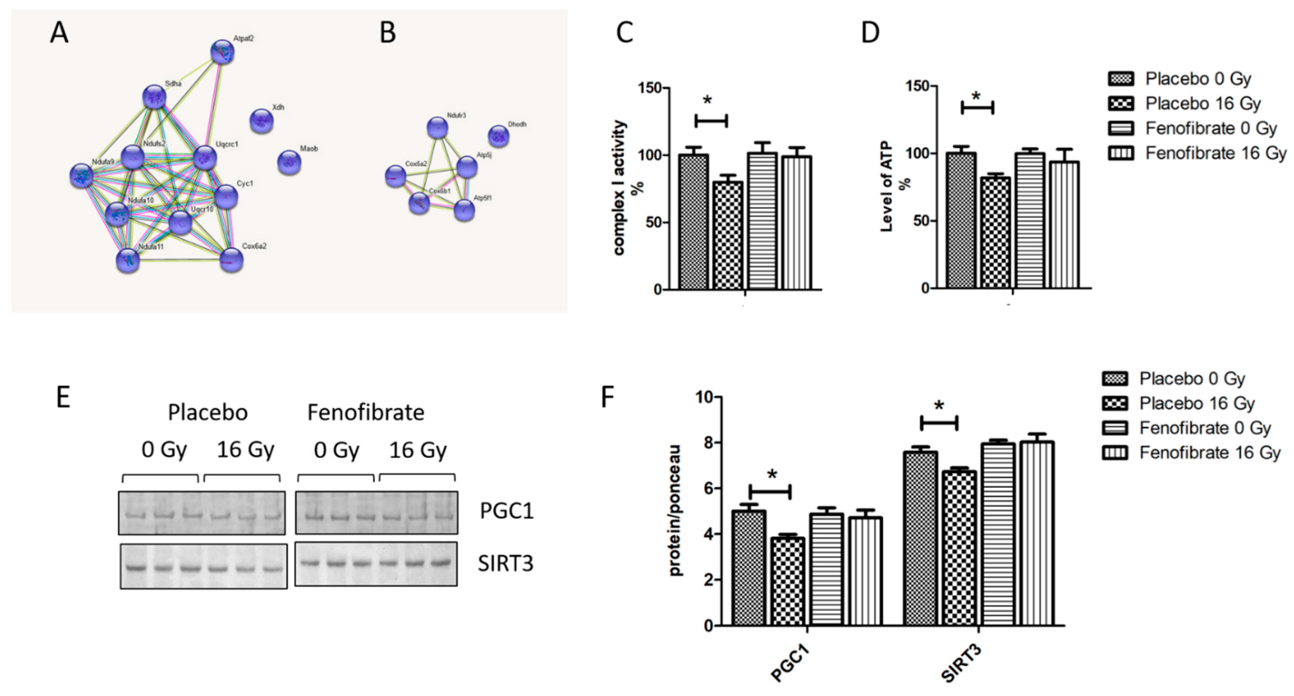 Biomedicines 09 01845 g004 Biomedicines 09 01845 g004