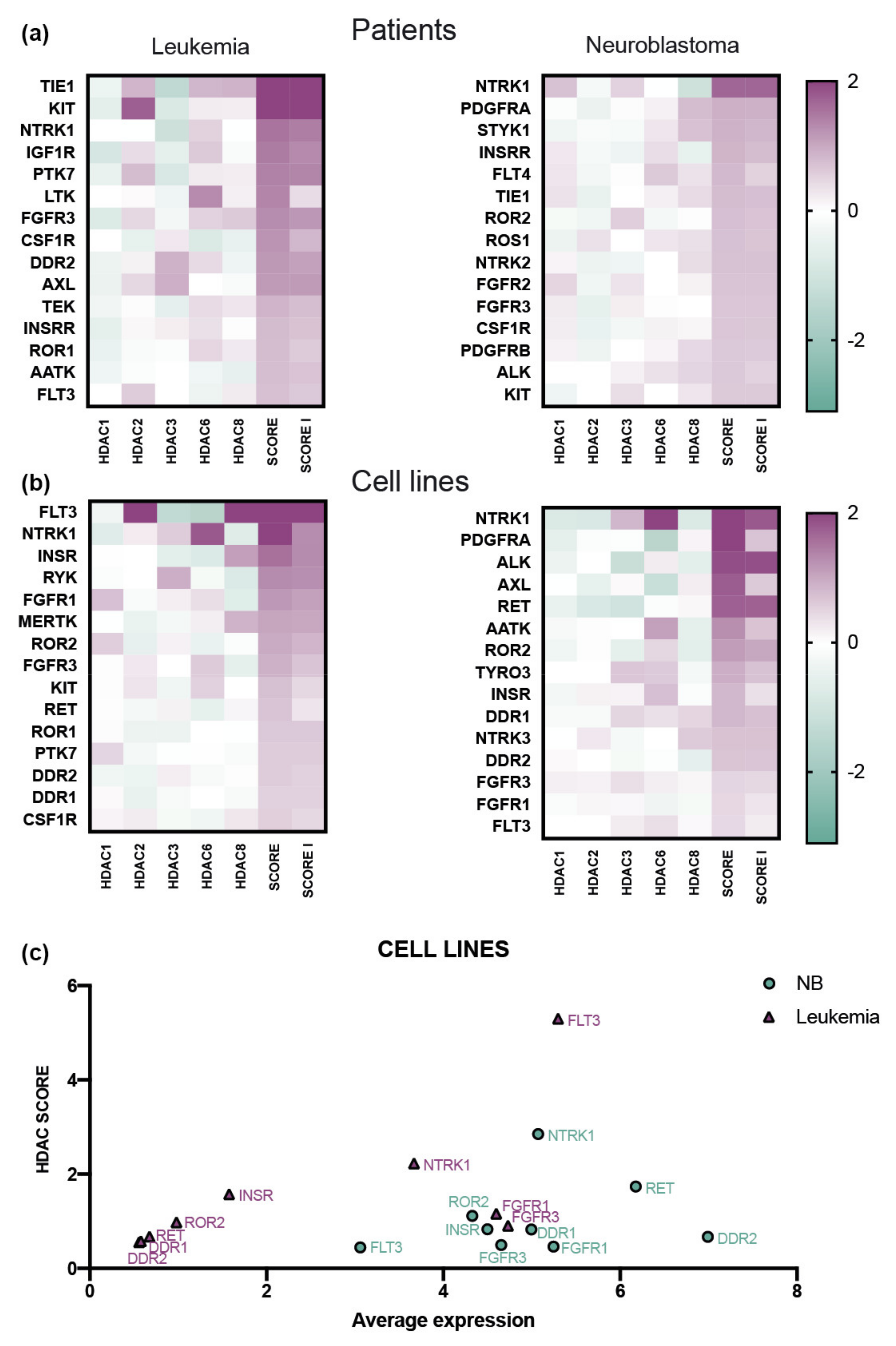 Biomedicines 09 01846 g002