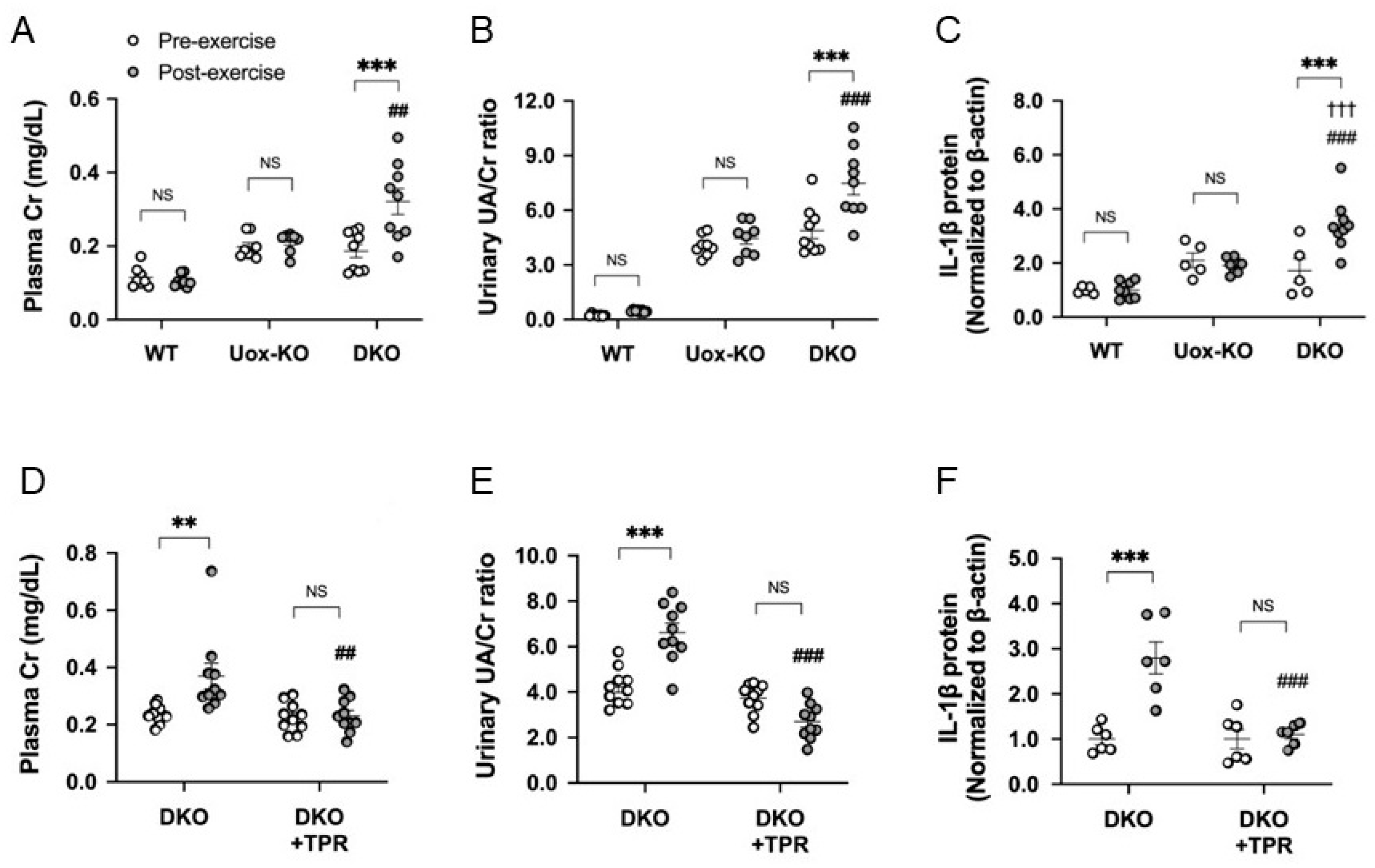 Biomedicines 09 01847 g001