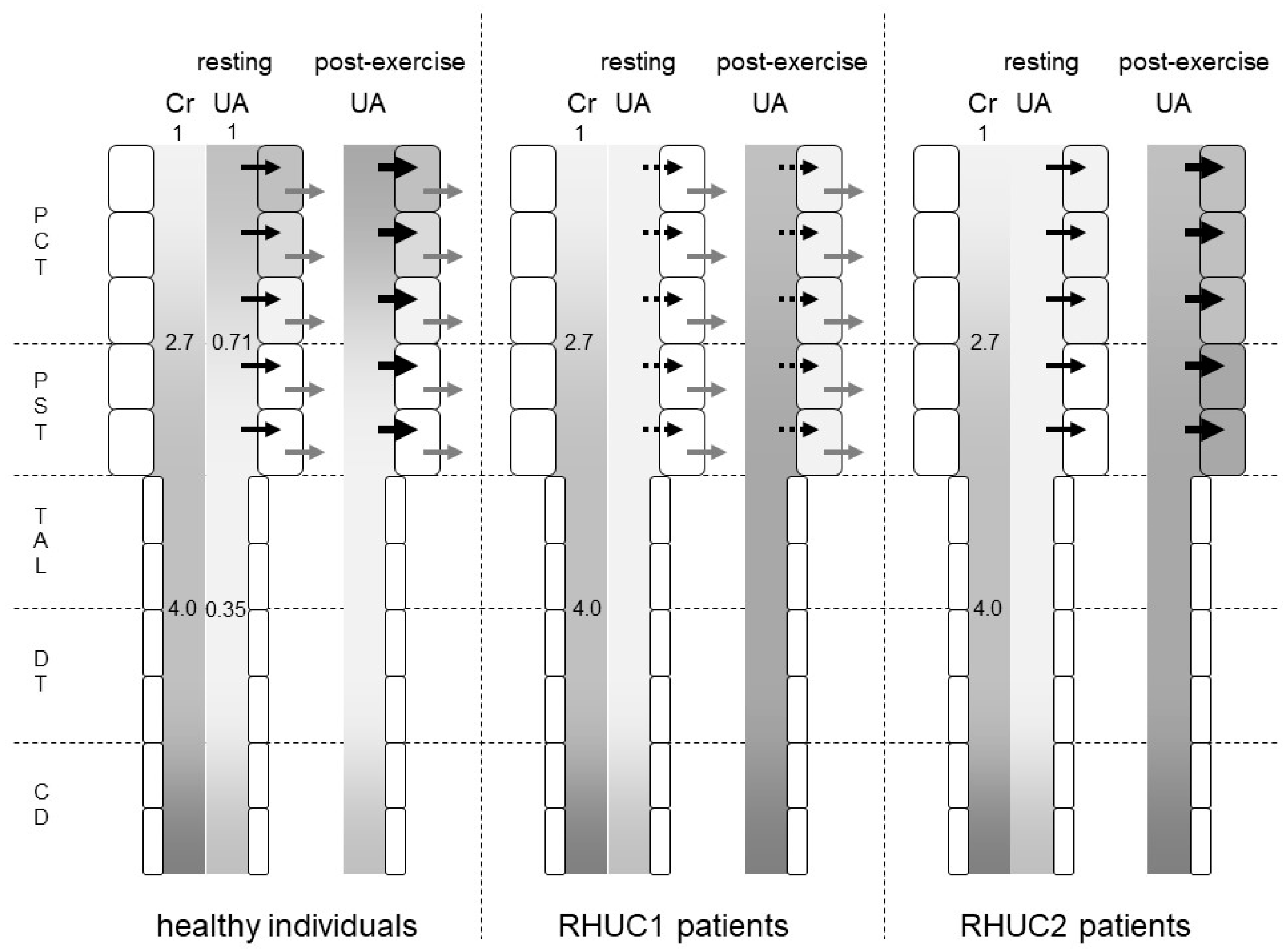 Biomedicines 09 01847 g002