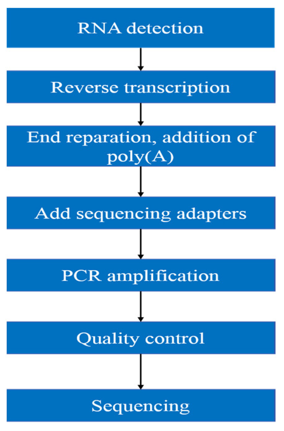 Biomedicines 09 01849 g001