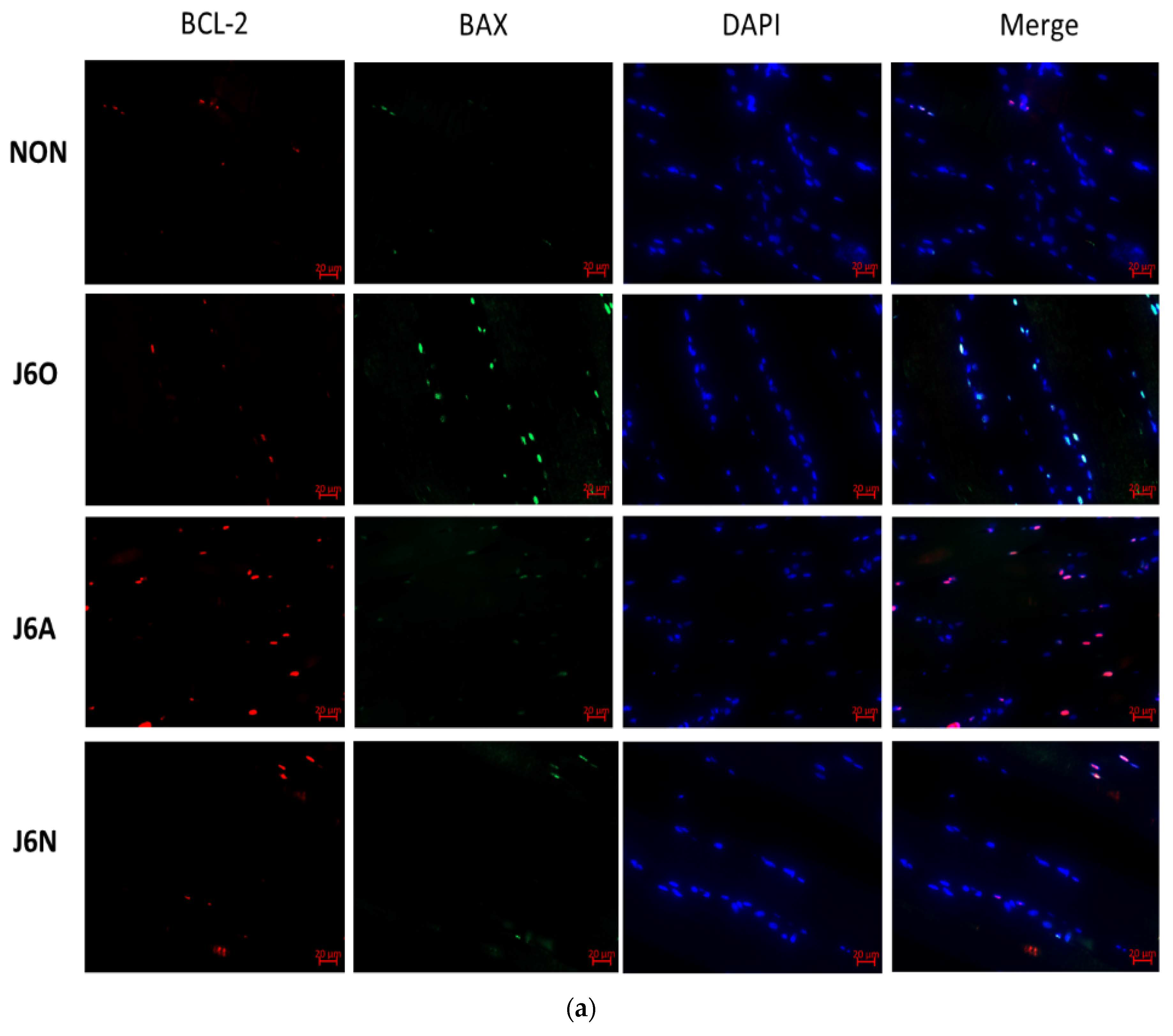 Biomedicines 09 01849 g007a