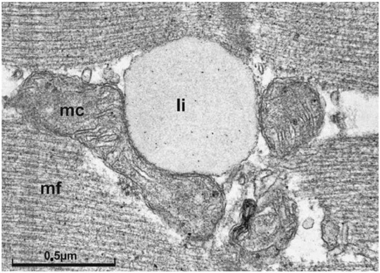 Biosynthesis and molecular actions of specialized 1,4