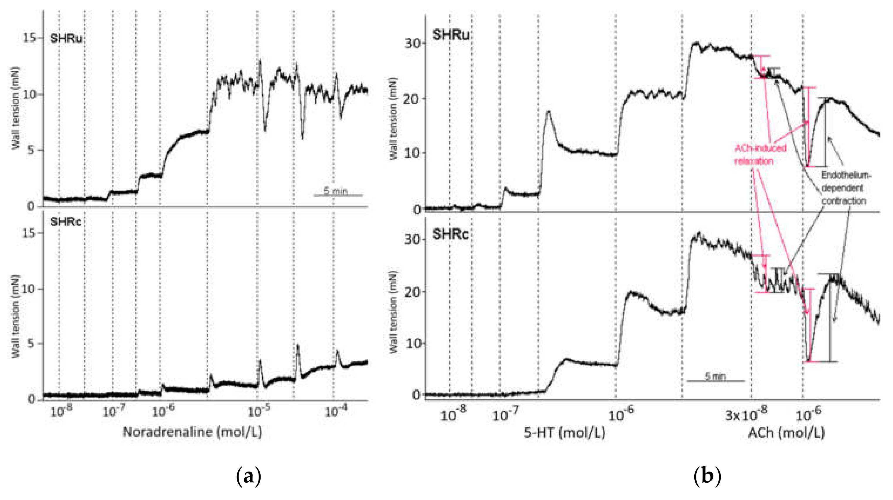 Biomedicines 09 01855 g001 550