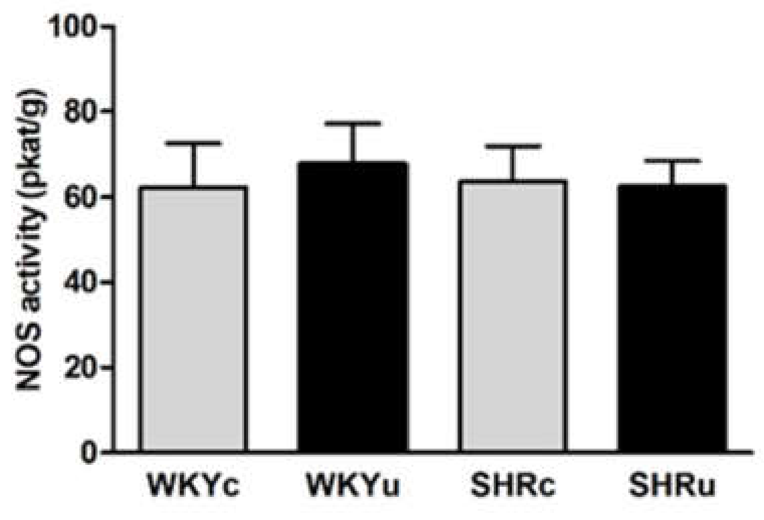 Biomedicines 09 01855 g004 550