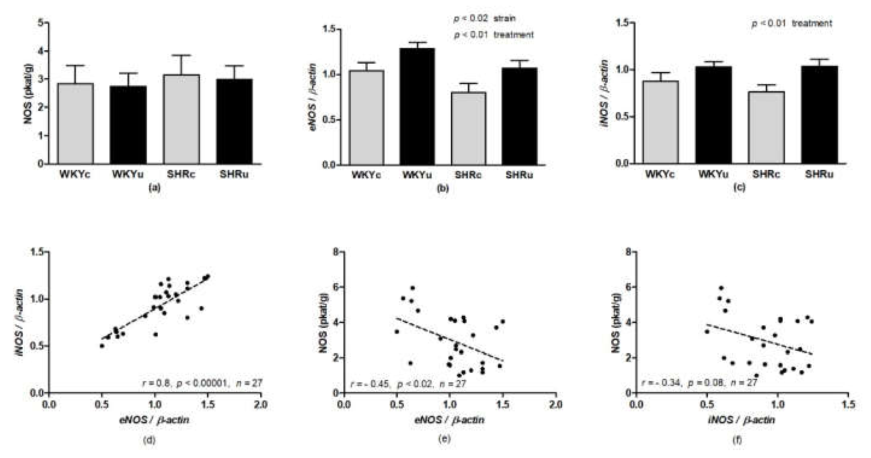 Biomedicines 09 01855 g005 550