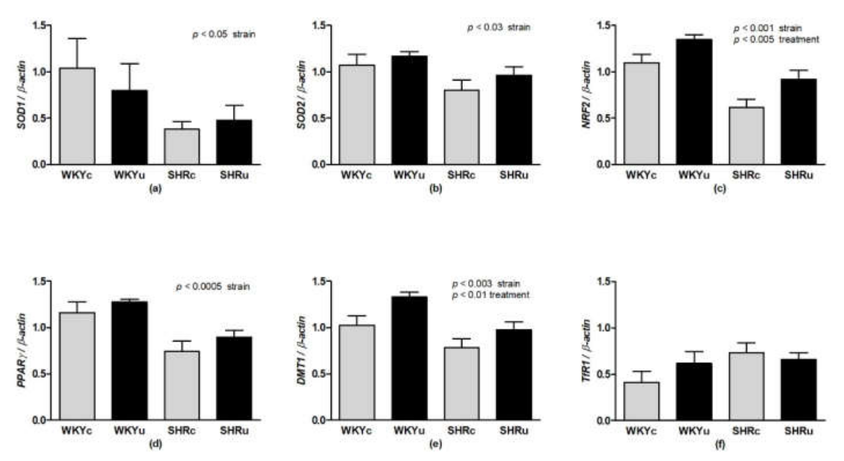 Biomedicines 09 01855 g007 550