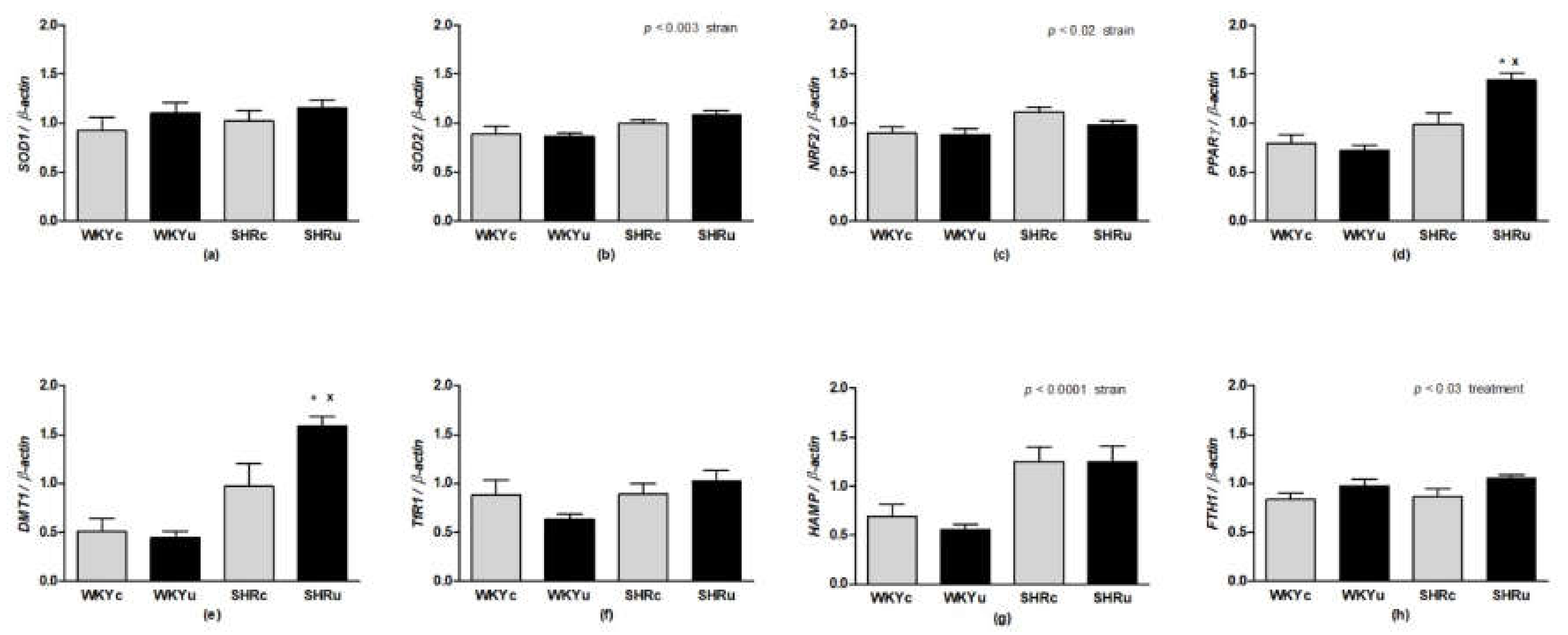 Biomedicines 09 01855 g008 550