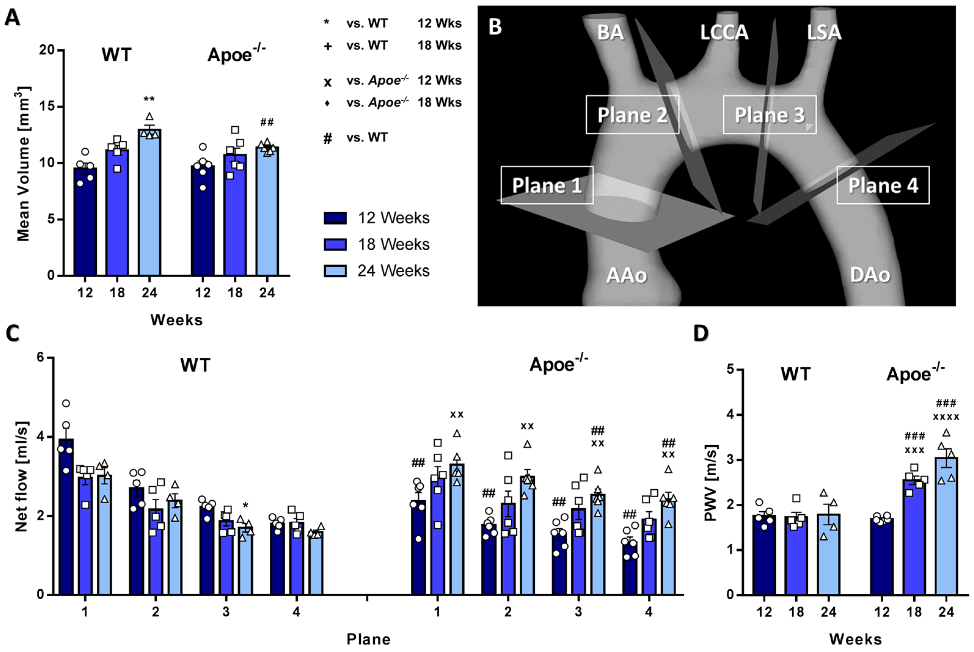 Biomedicines 09 01856 g003