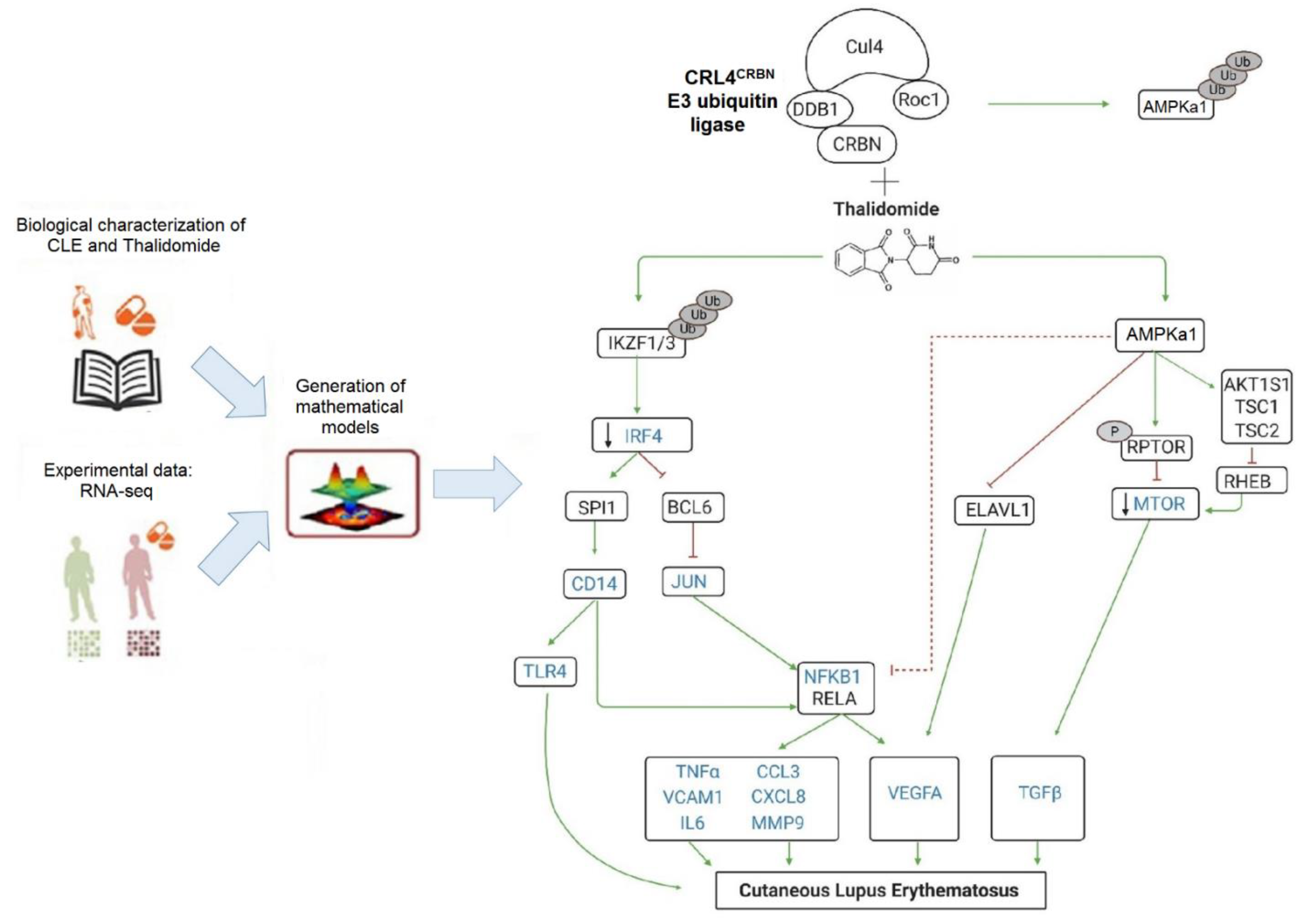 Biomedicines 09 01857 g002 Biomedicines 09 01857 g002