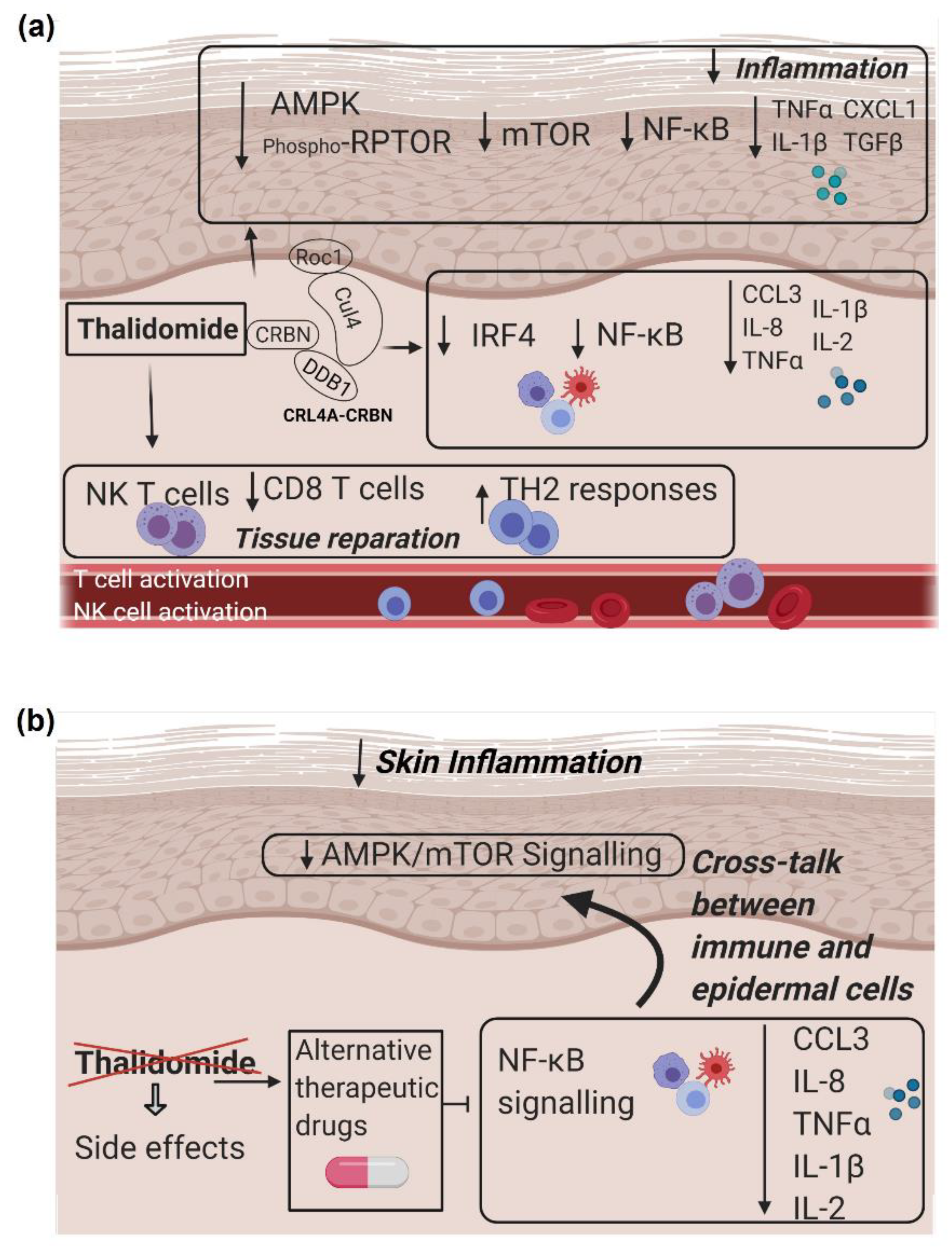 Biomedicines 09 01857 g008 Biomedicines 09 01857 g008
