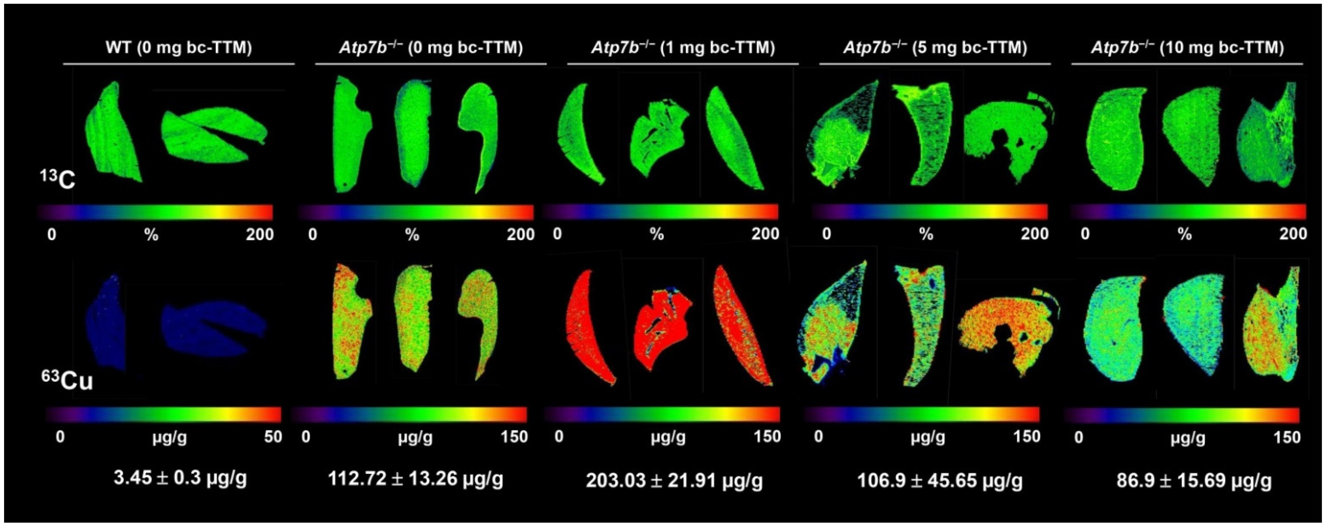 Biomedicines 09 01861 g001