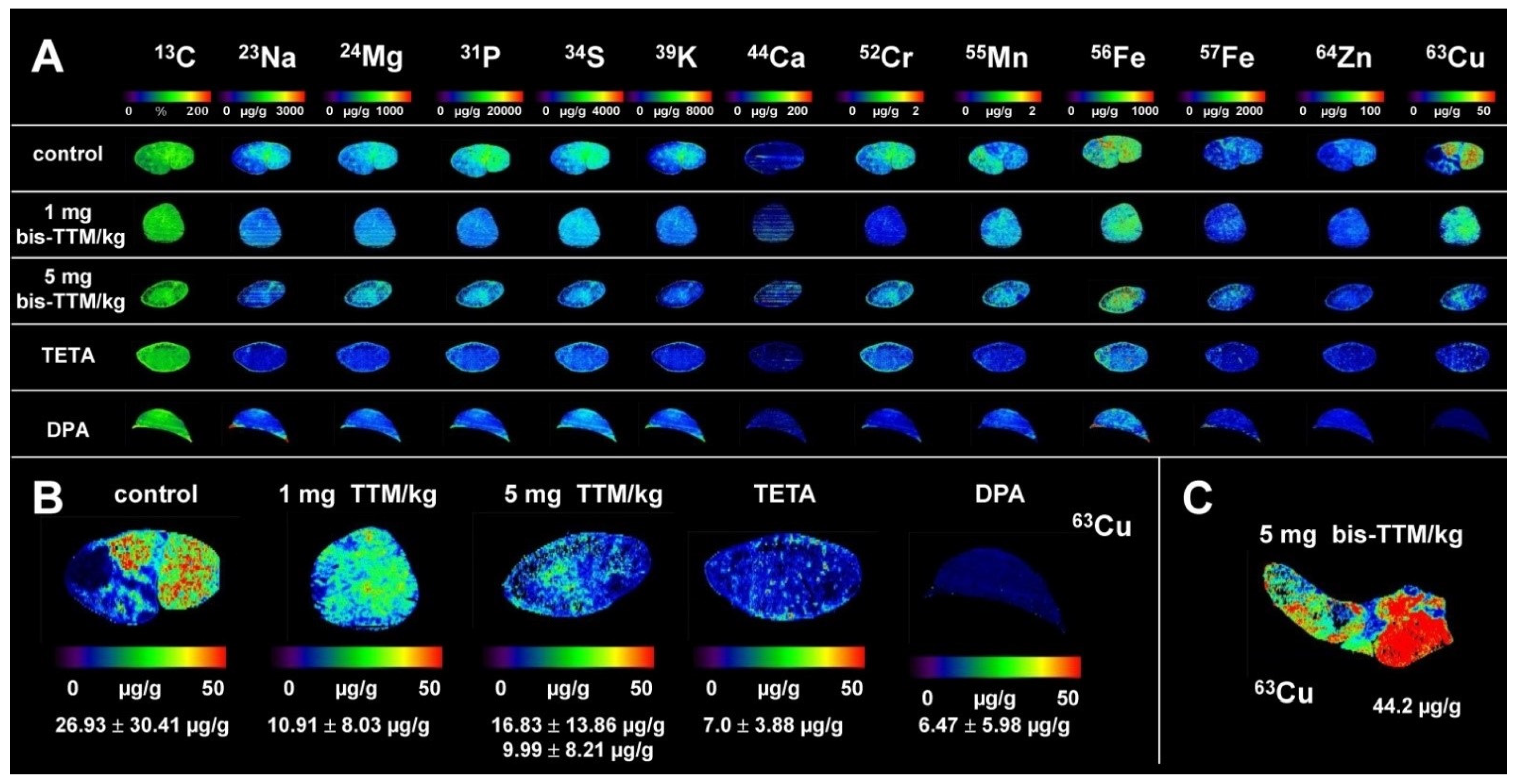 Biomedicines 09 01861 g003