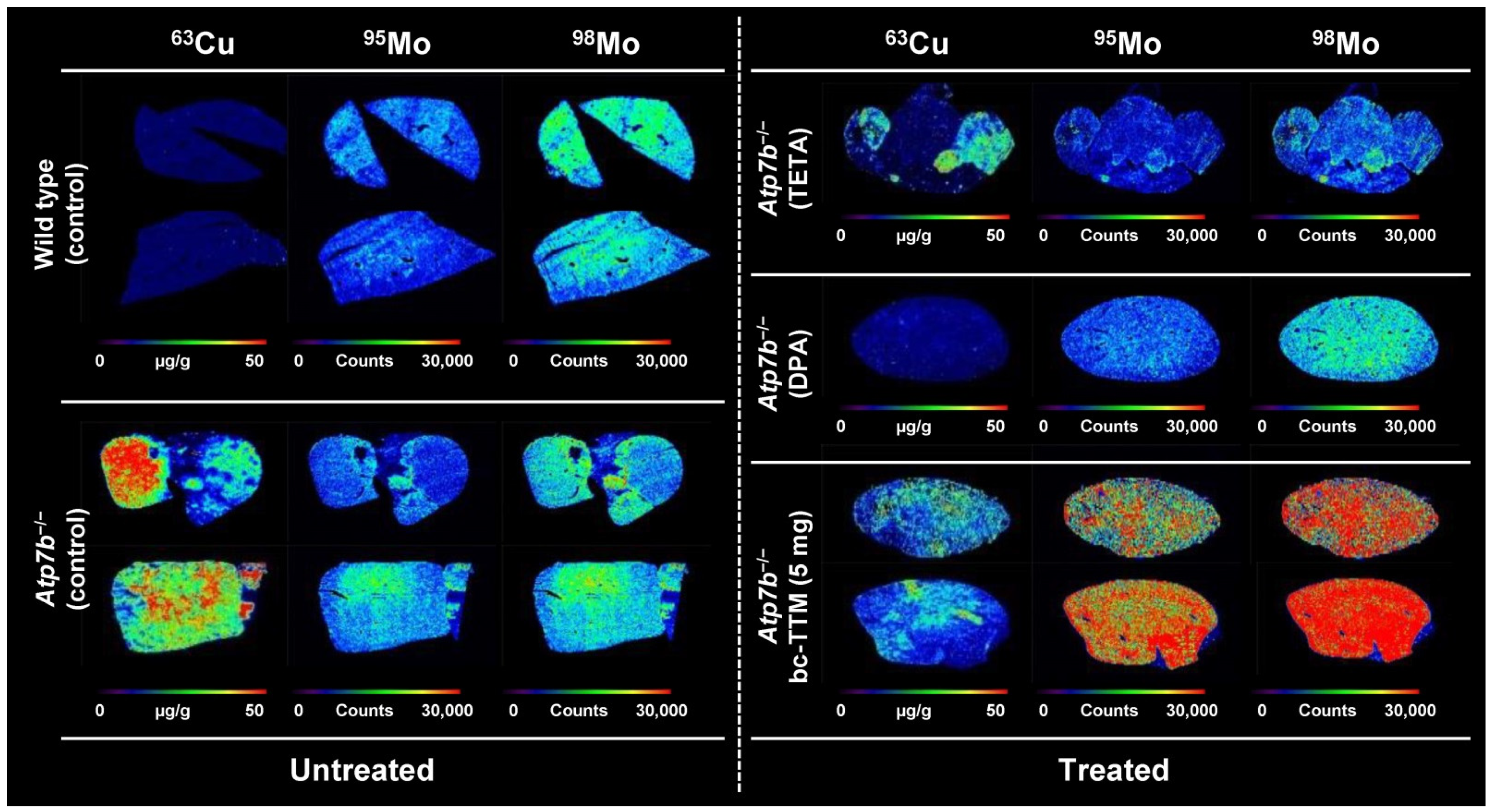 Biomedicines 09 01861 g004
